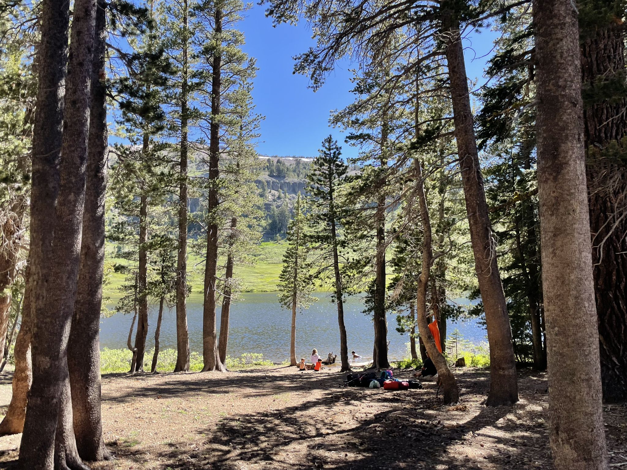 People relax by a sunny lake, seen through tall pine trees. - Showers Lake loop from Little Round Top