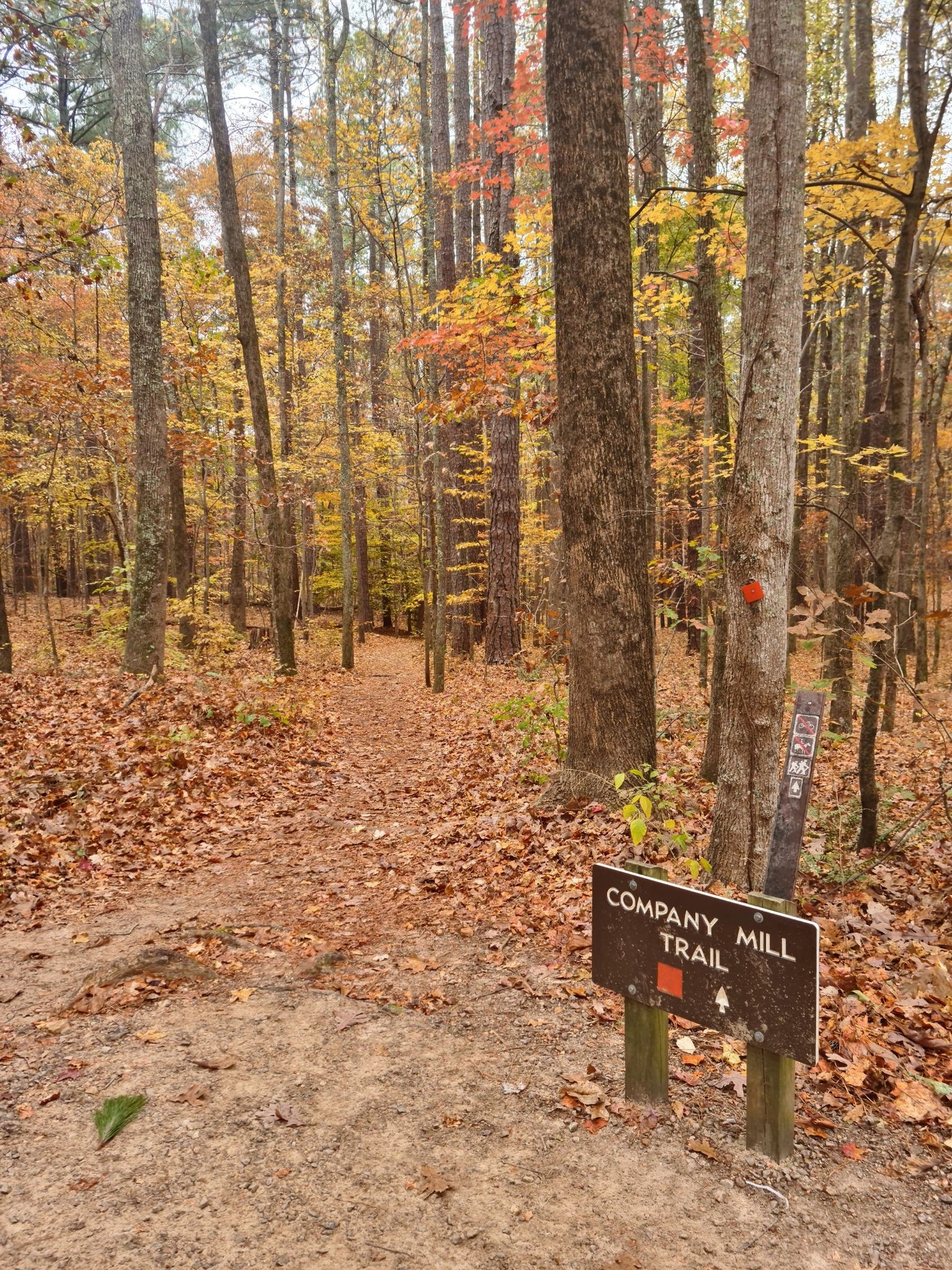 Autumn forest path with vibrant orange leaves and a trail sign. - 286 Southeast loop from Grove Barton Rd at Lynn Rd