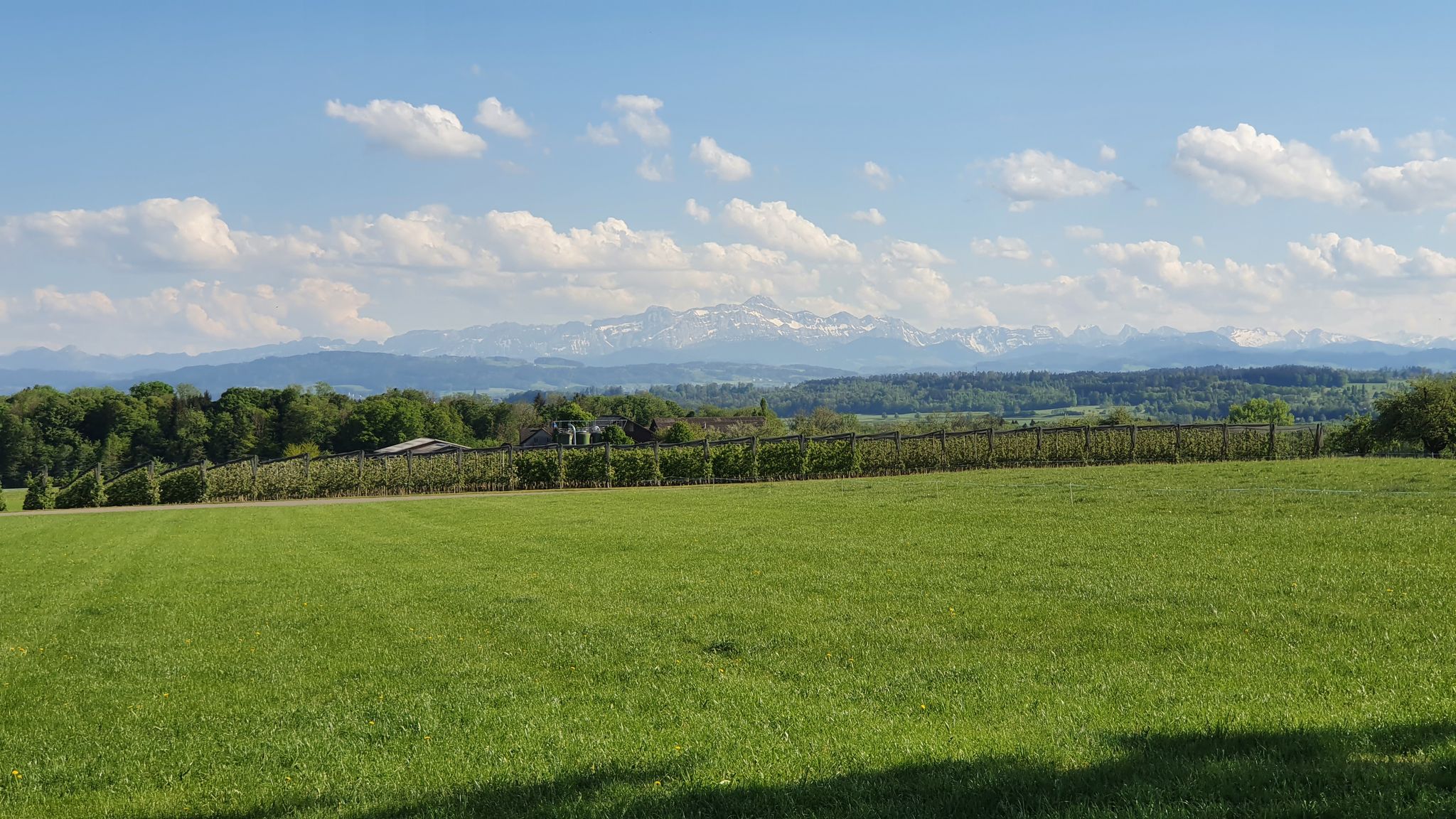 und nochmals der Alpstein (Hauptmotiv der Ostschweiz)