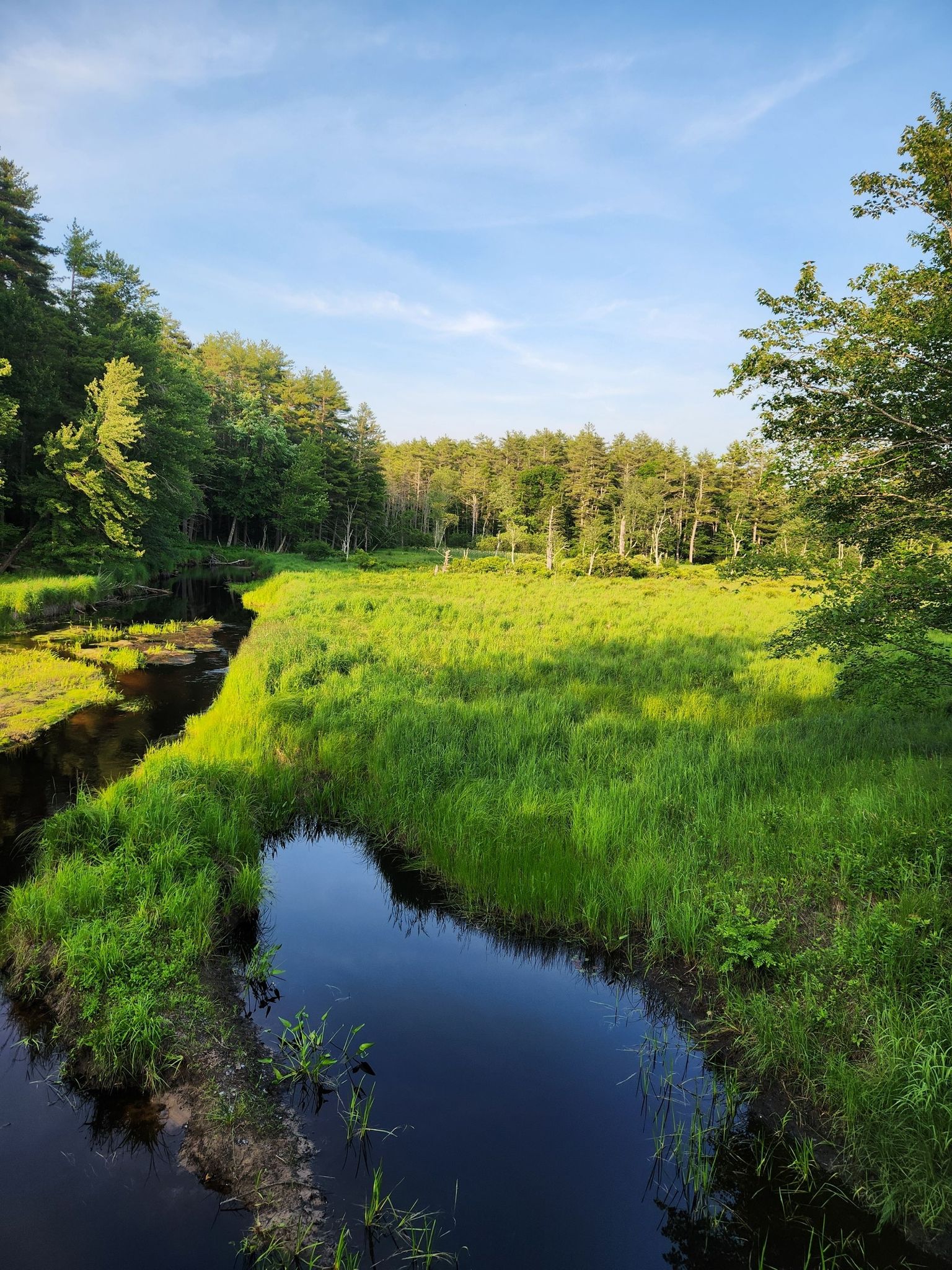 Sunny river winding through a vibrant green meadow surrounded by forest. - North Central Pathway – North Central Pathway loop from Gardner Public Schools