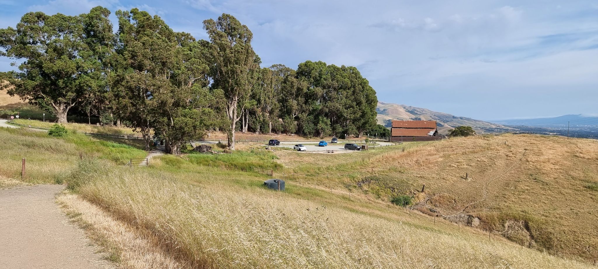 Dry grassy hills, tall trees, distant building, and parked cars in daylight. - Golden Eagle, Deer Gulch, and Cliff Trail Loop
