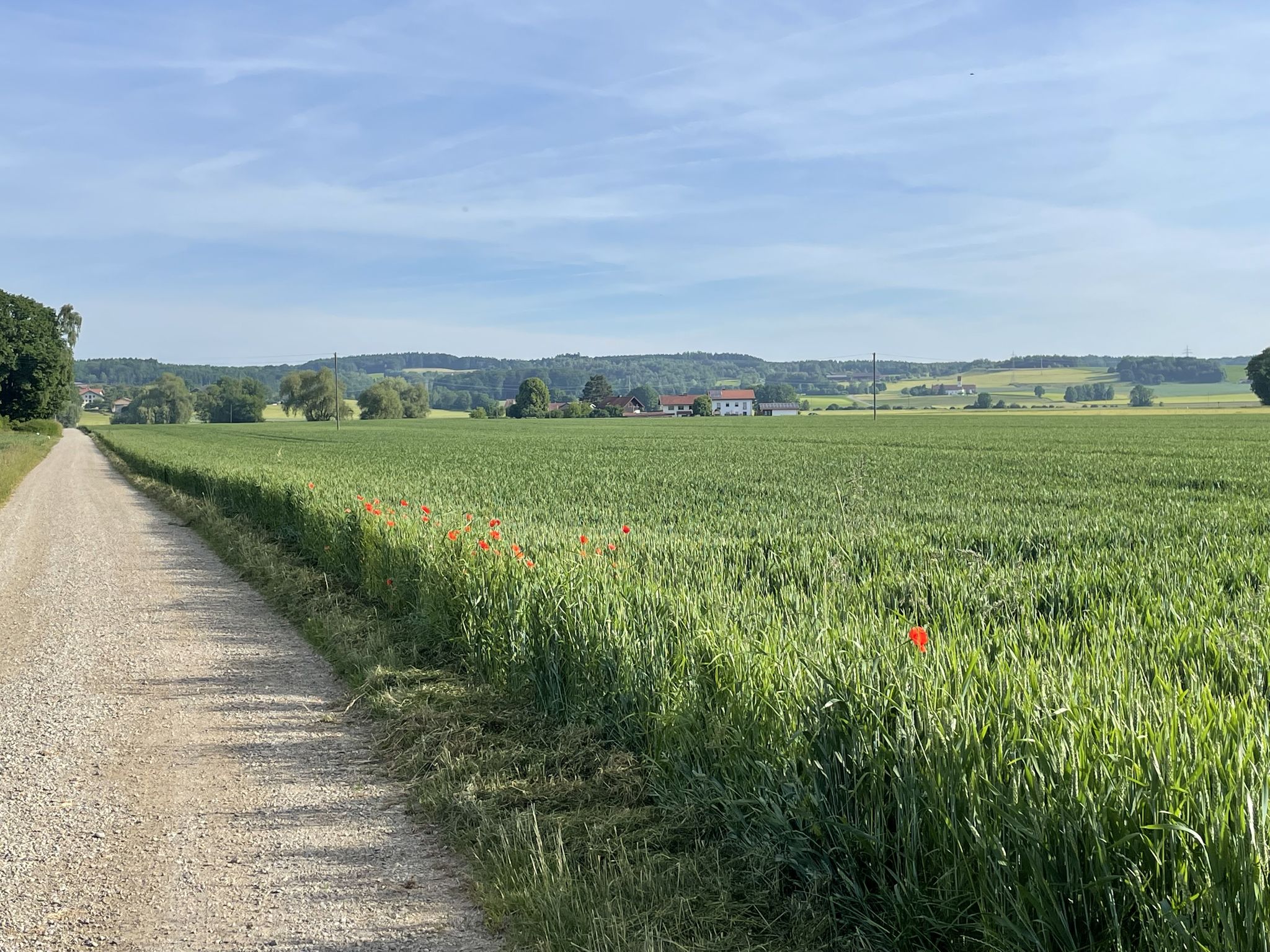 Seeweg