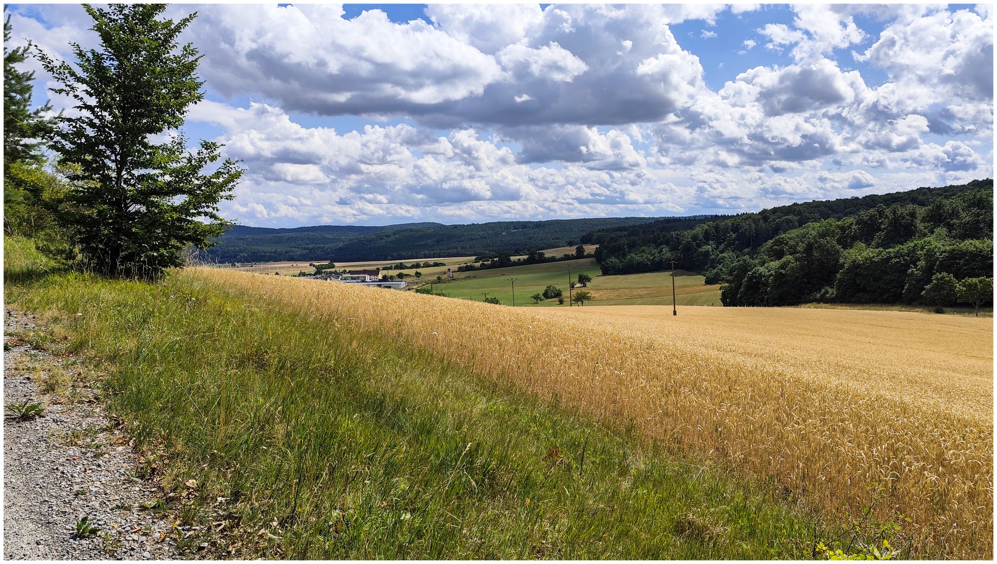 Blick in Richtung Stedtlingen