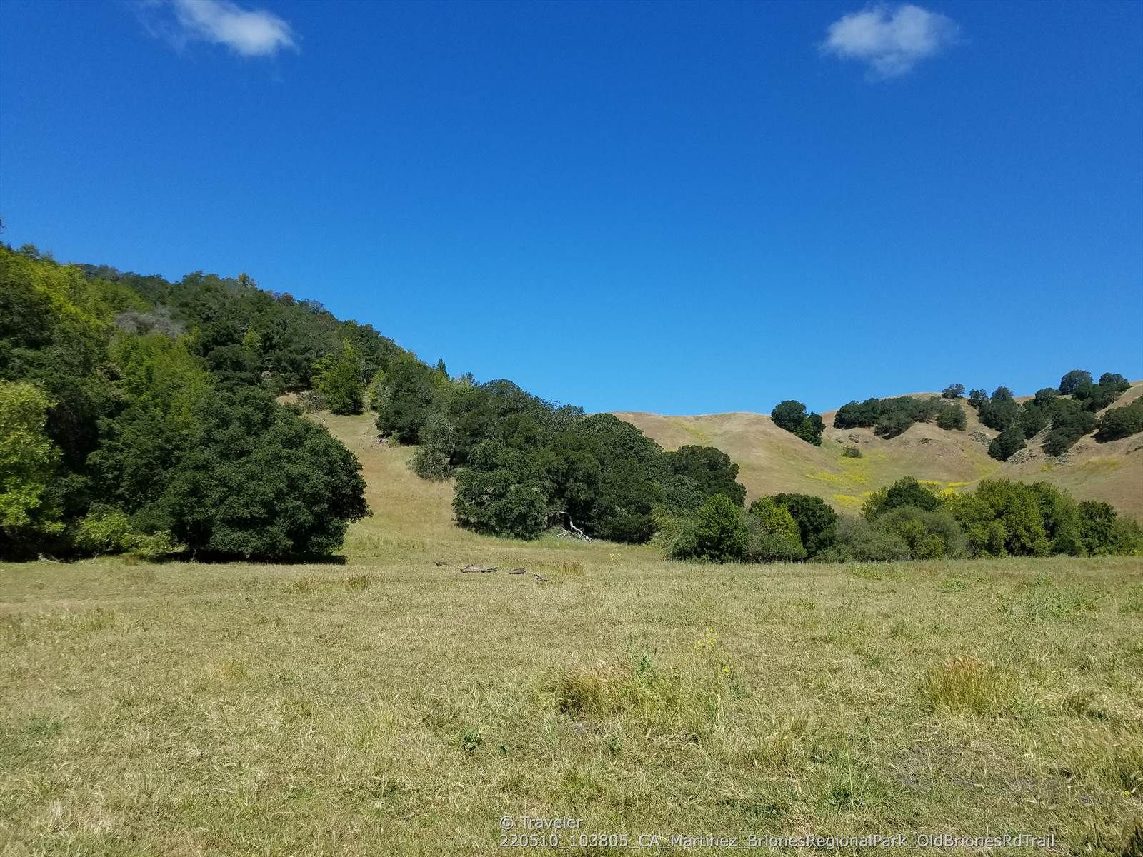 A wide green field bordered by a tree-covered hillside on a sunny day. - Old Briones Road, Valley, and Crescent Ridge Trail Loop
