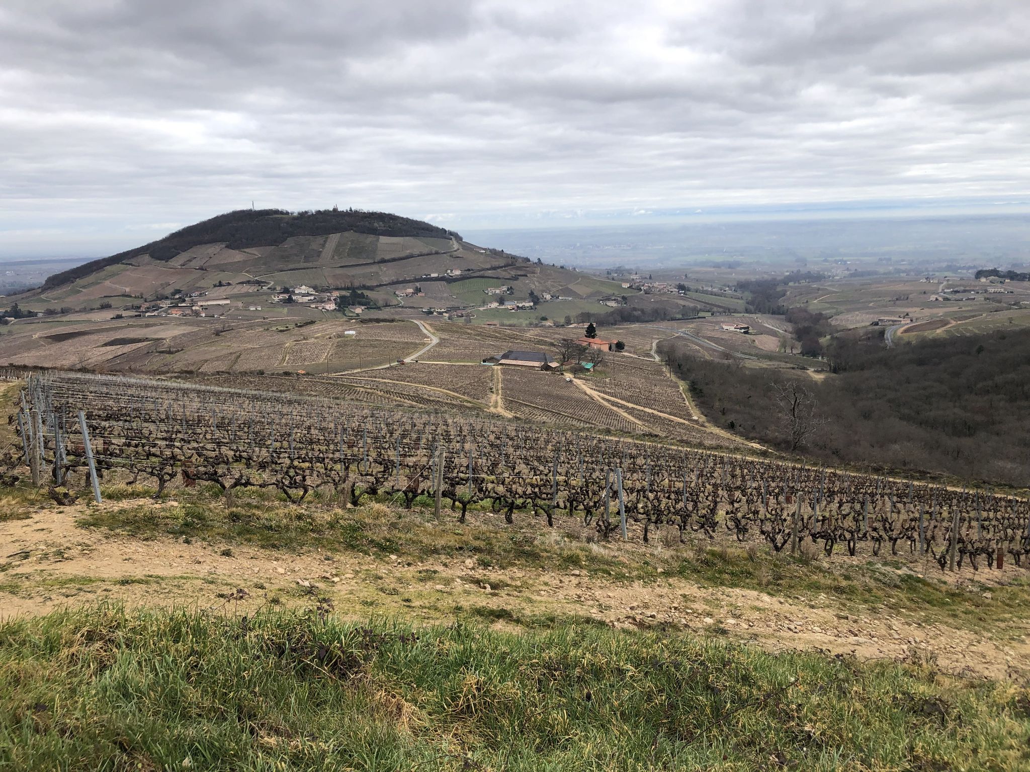 Mont Brouilly