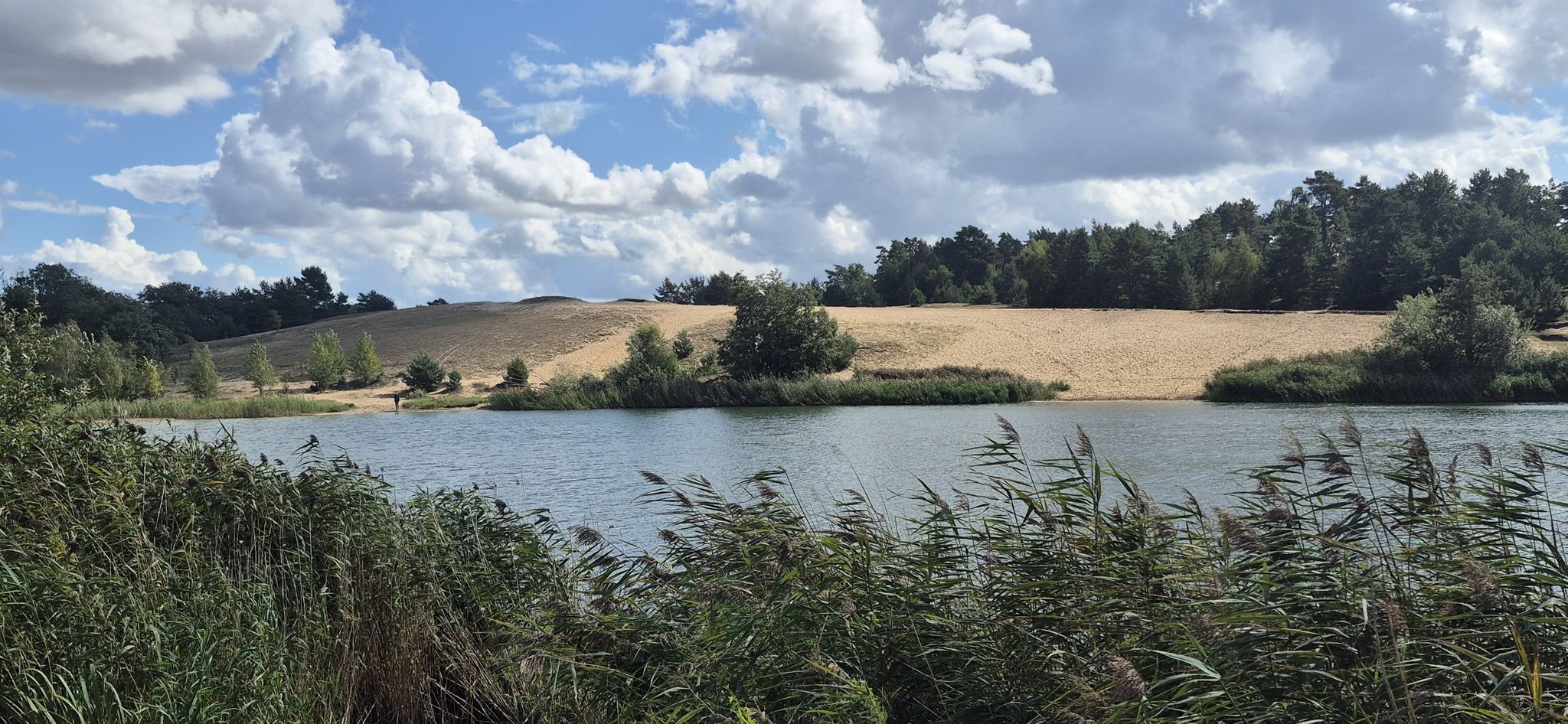 Wanderdüne Gommern