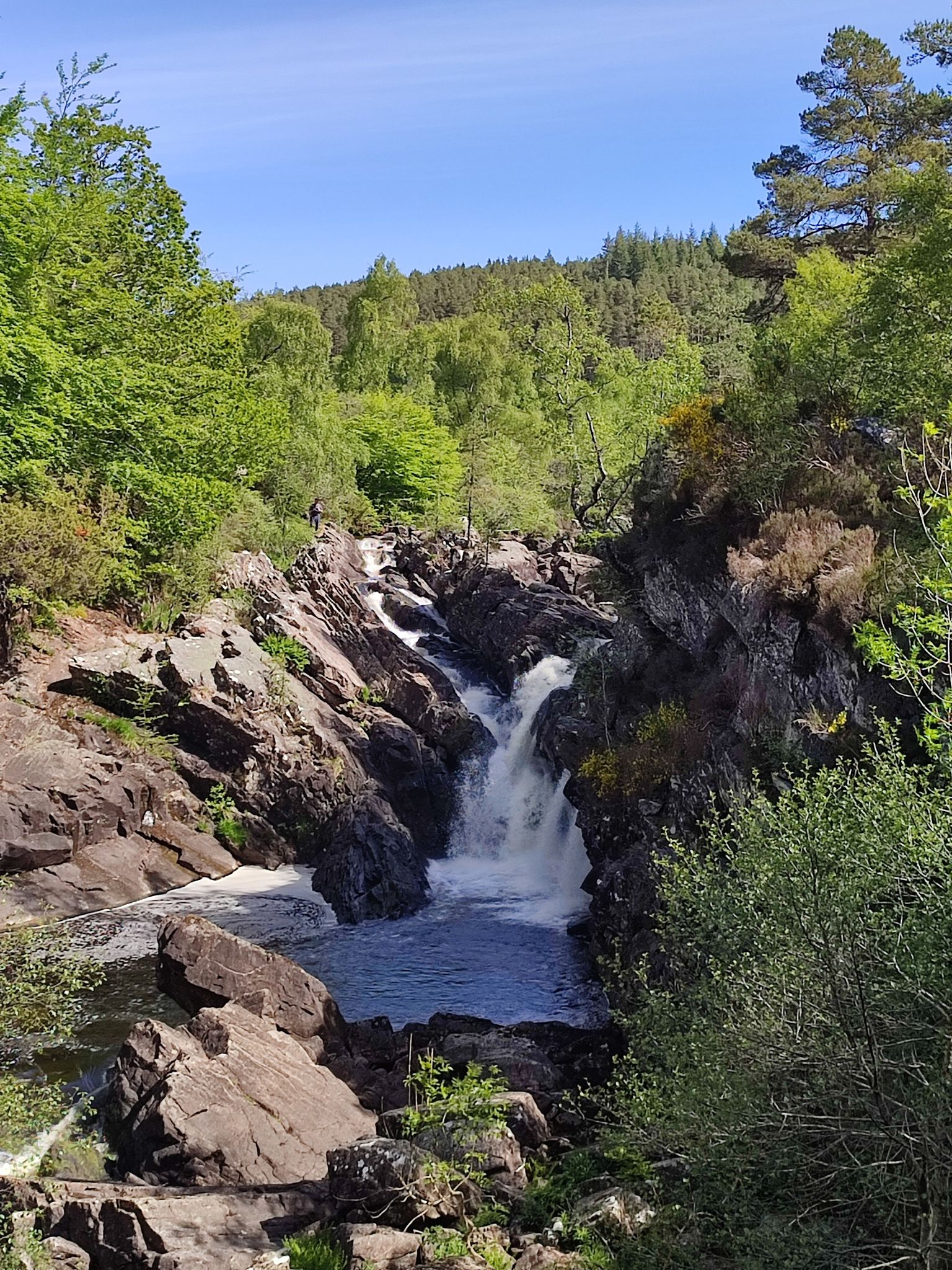 Rogie Falls