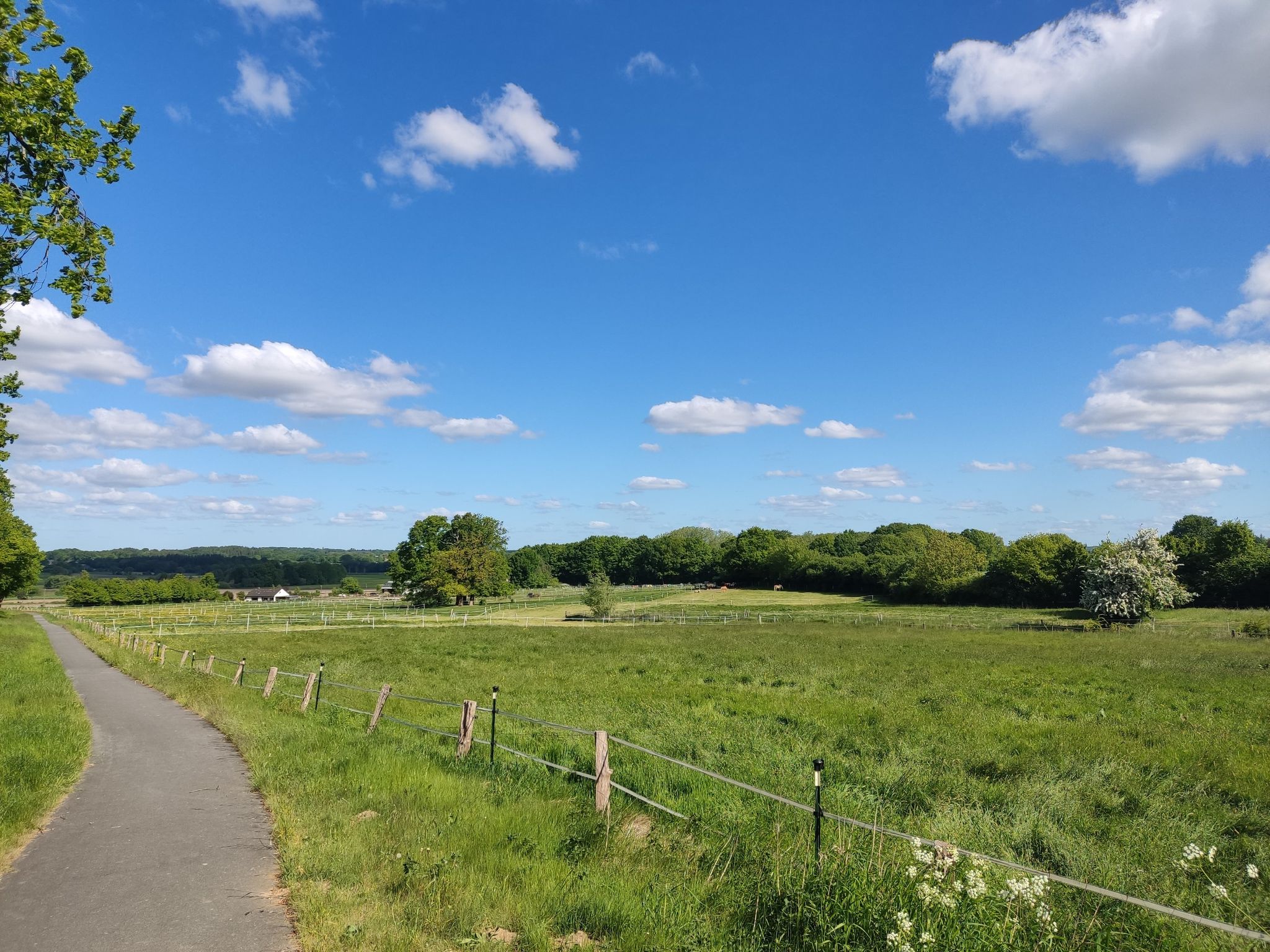 Blick ins Auenland