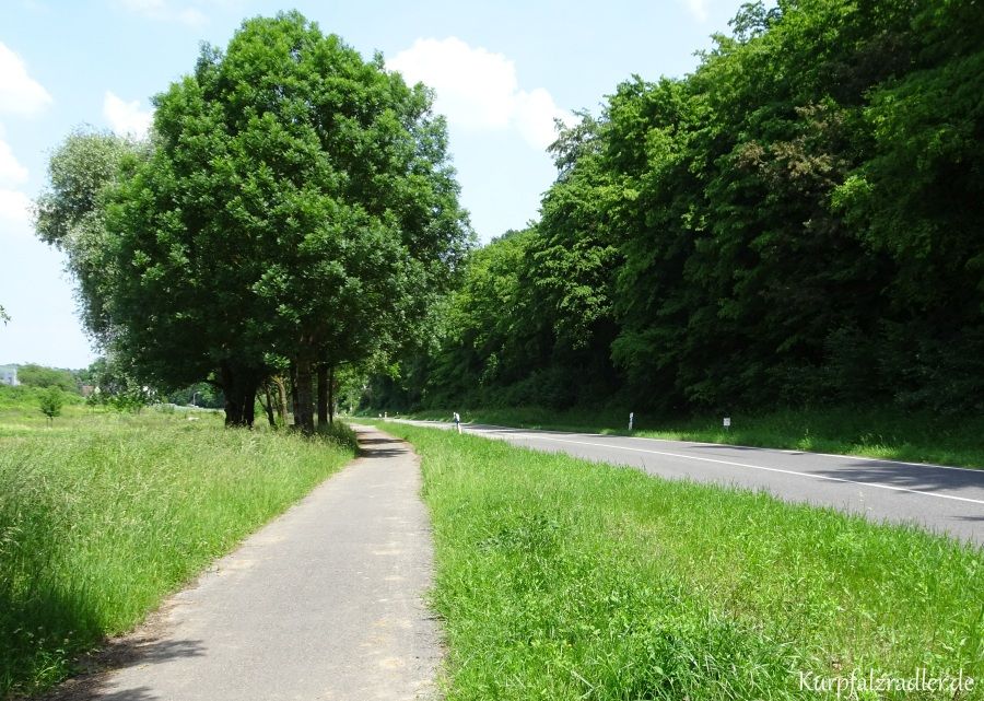 Radweg nach Knittlingen