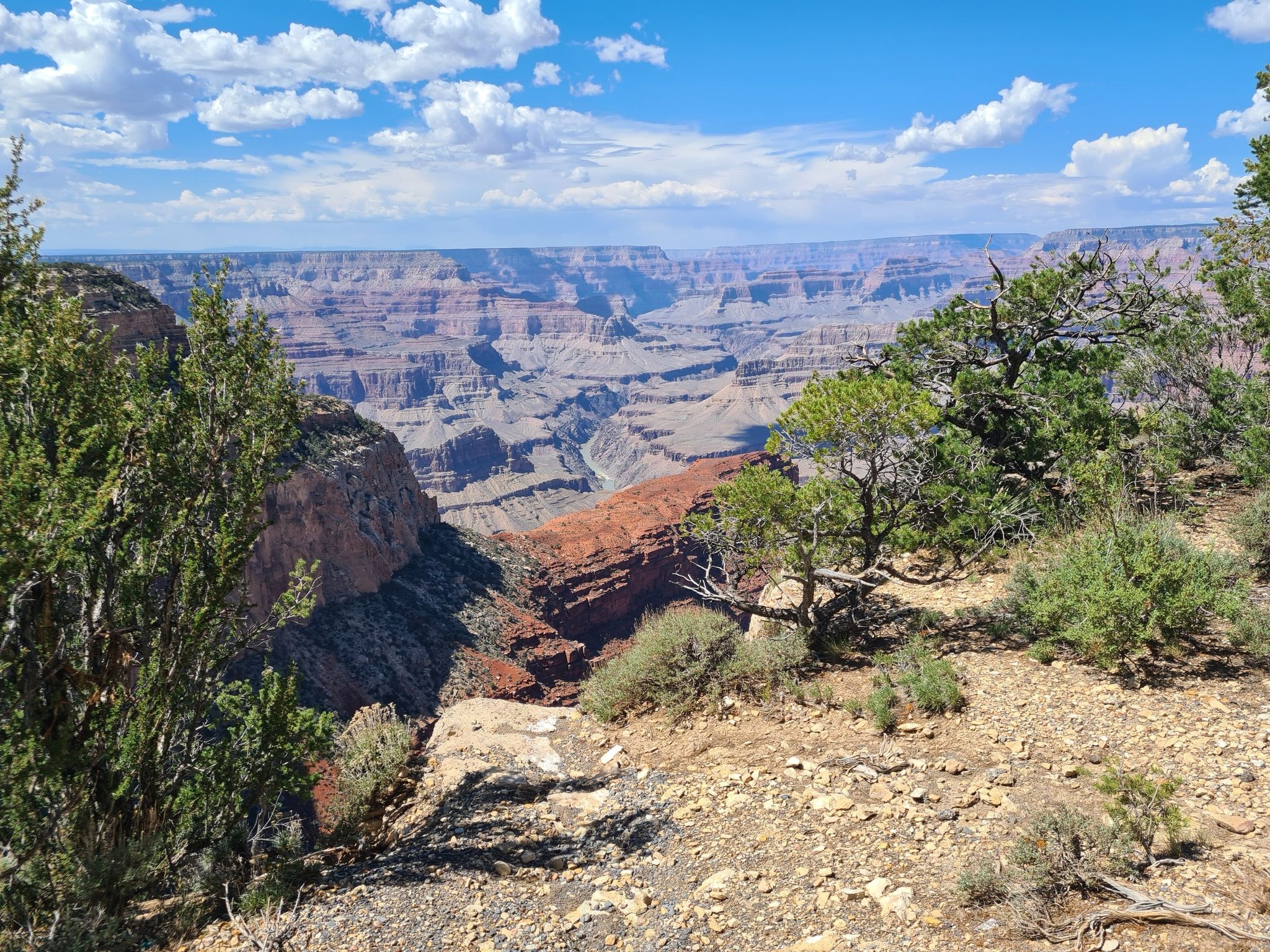 View from a rocky, vegetated cliff edge into a vast, layered canyon. - Grand Canyon Rim Trail