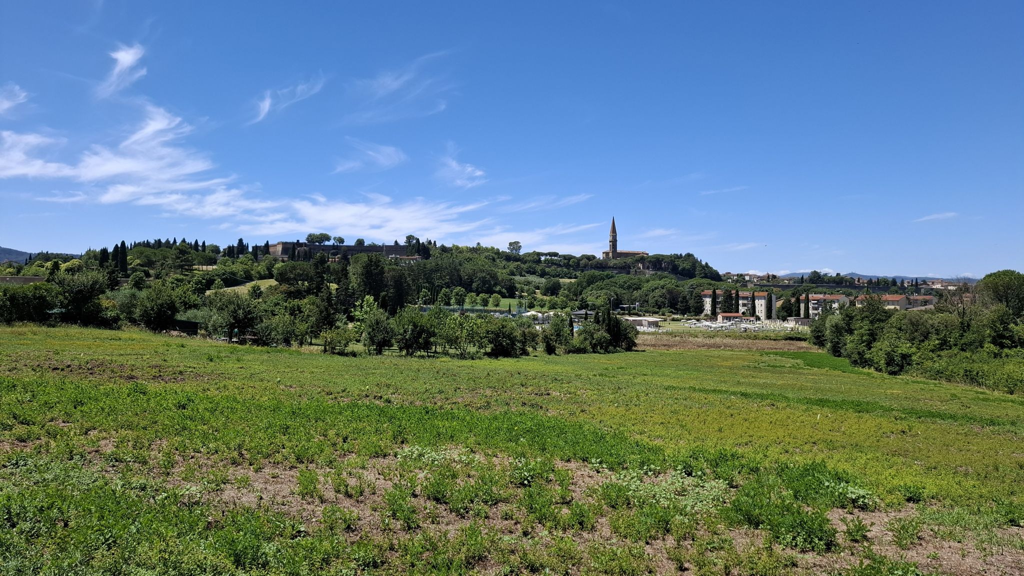 Blick auf Arezzo 