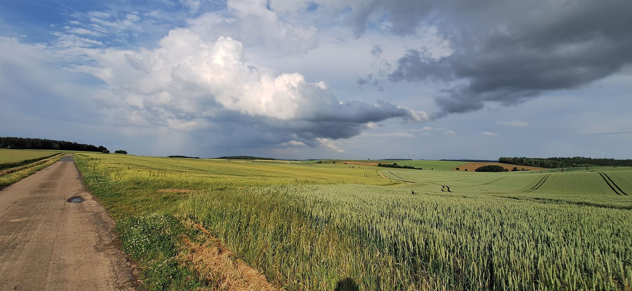 Weites Land
