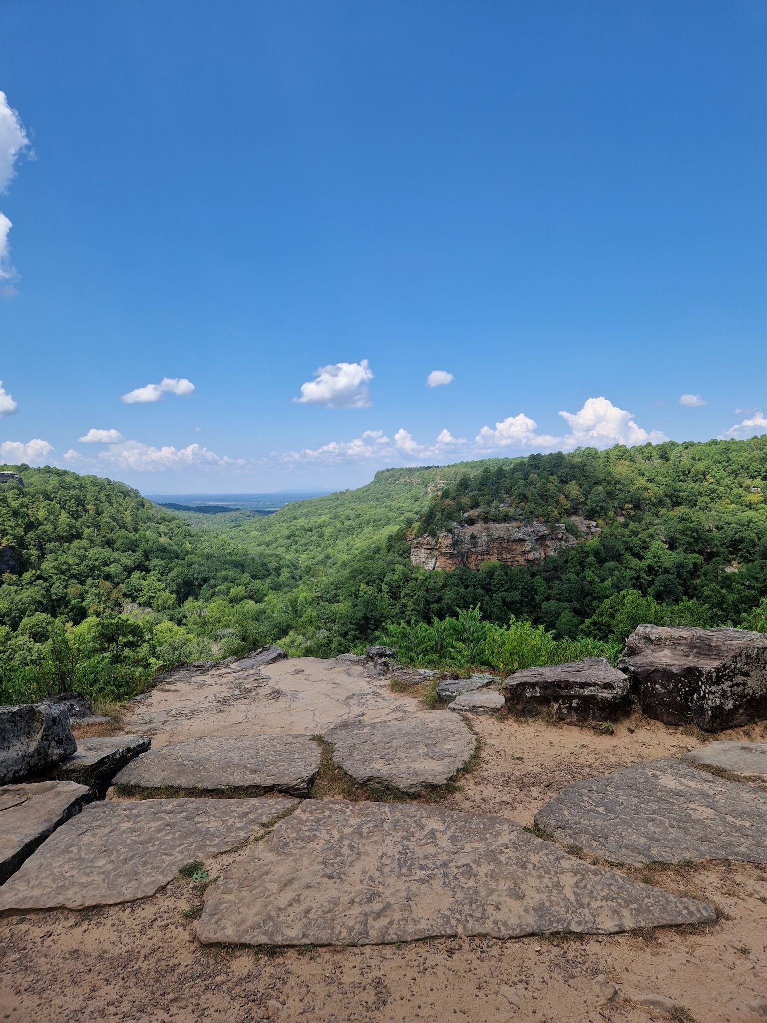 A vast green valley viewed from a rocky cliff under a blue sky. - Cedar Falls Trail