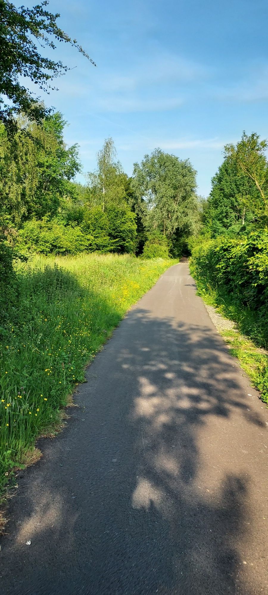 Le chemin est roulant, ombragé, champêtre...