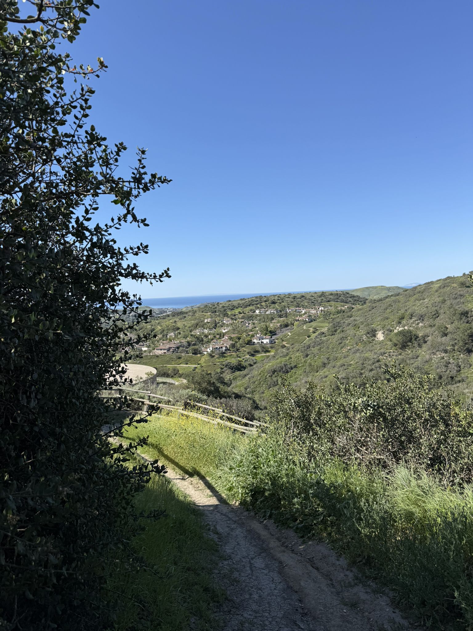 A dirt path descends through green hills towards a distant ocean view. - Cristianitos South Trail