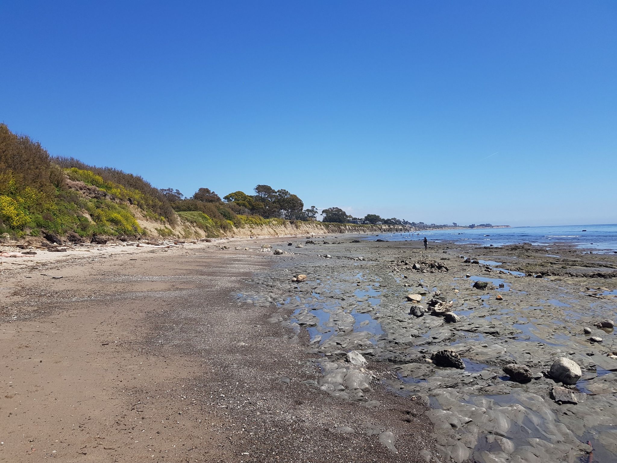 A sunny beach with a rocky, muddy shore, ocean, vegetated bluff, and distant person. - Sea Lookout Park to Devereux Beach Loop