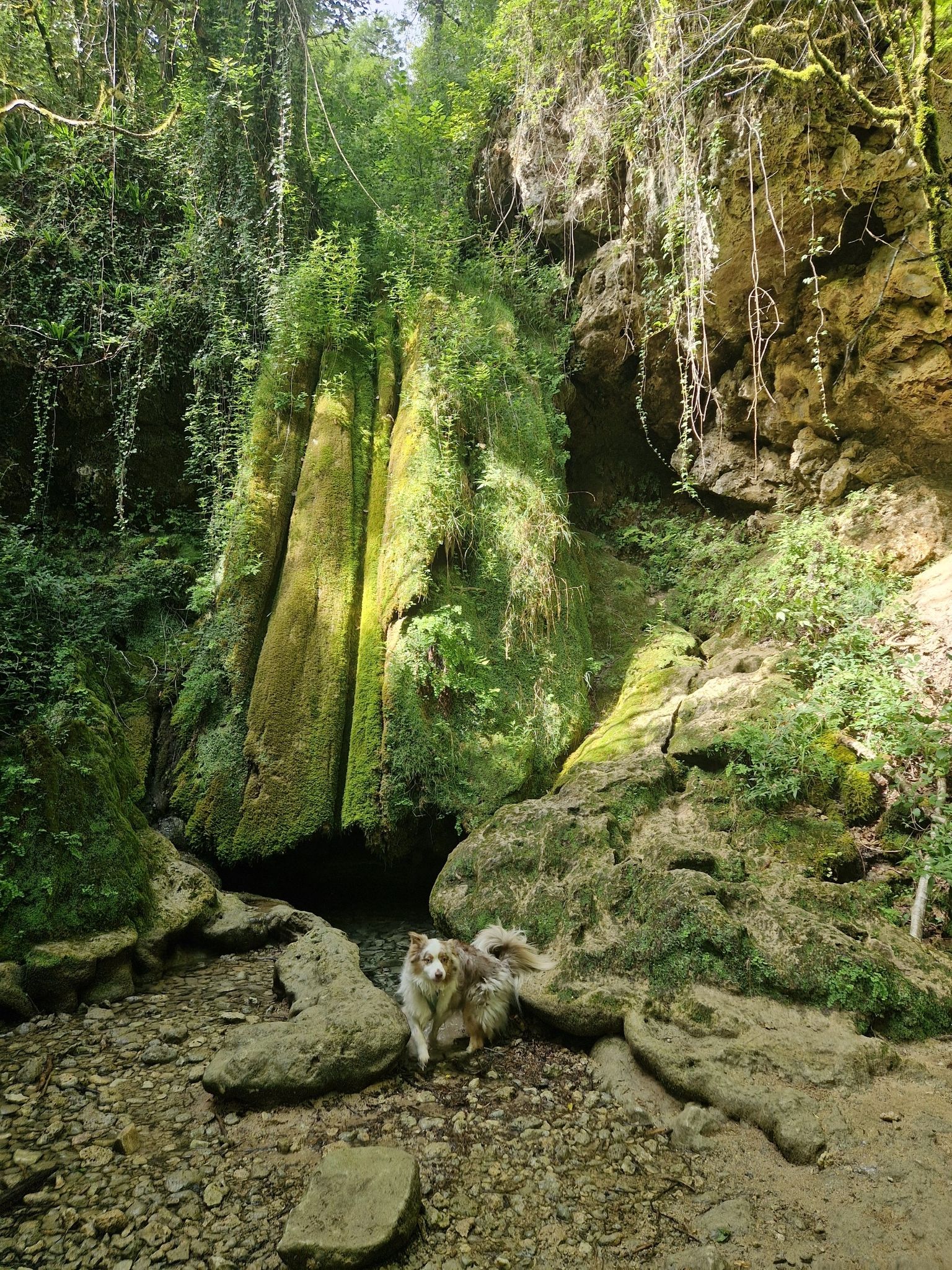 La cascade qui est tarie actuellement 😀
