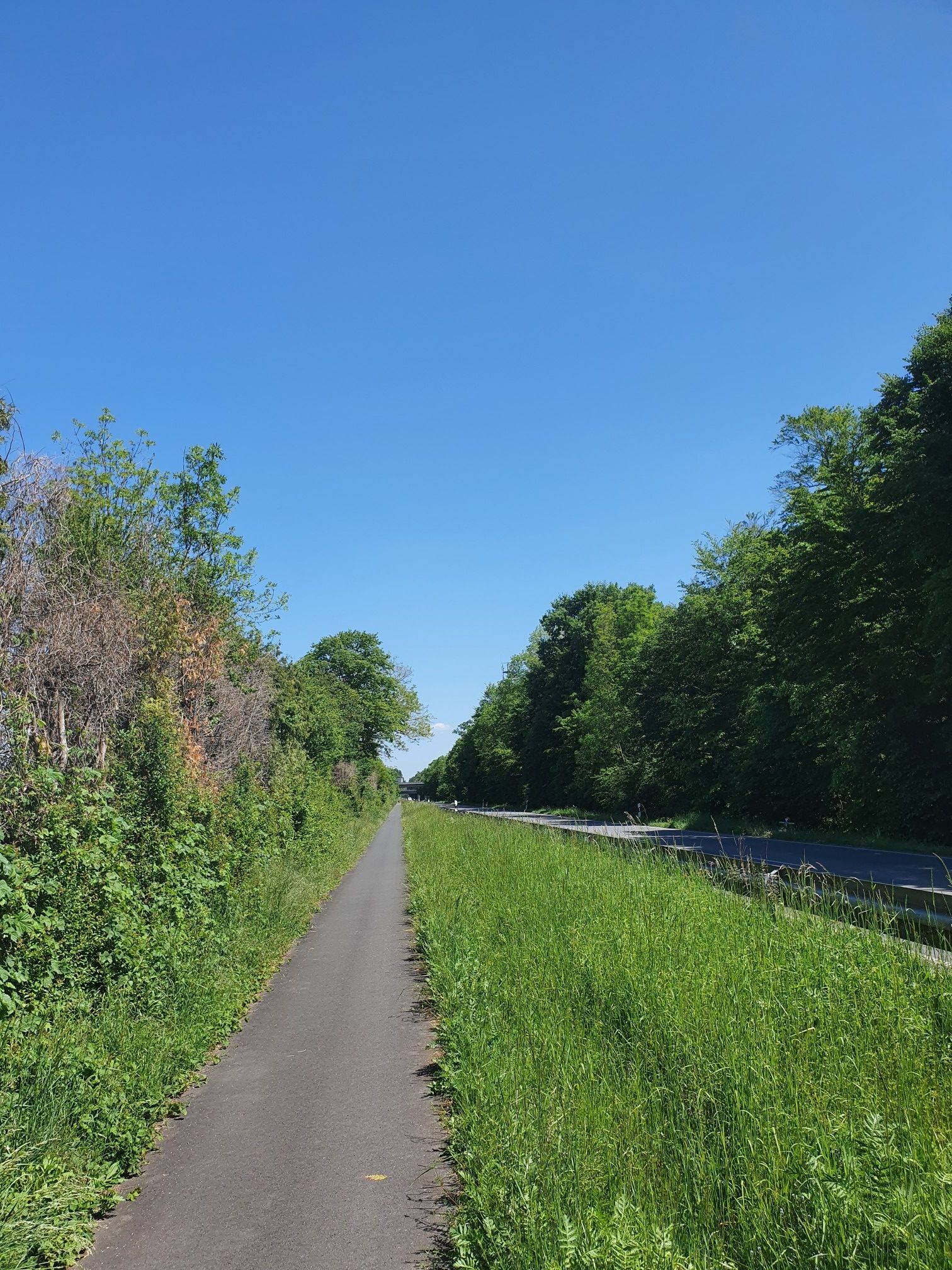 Rodenbacher Chaussee