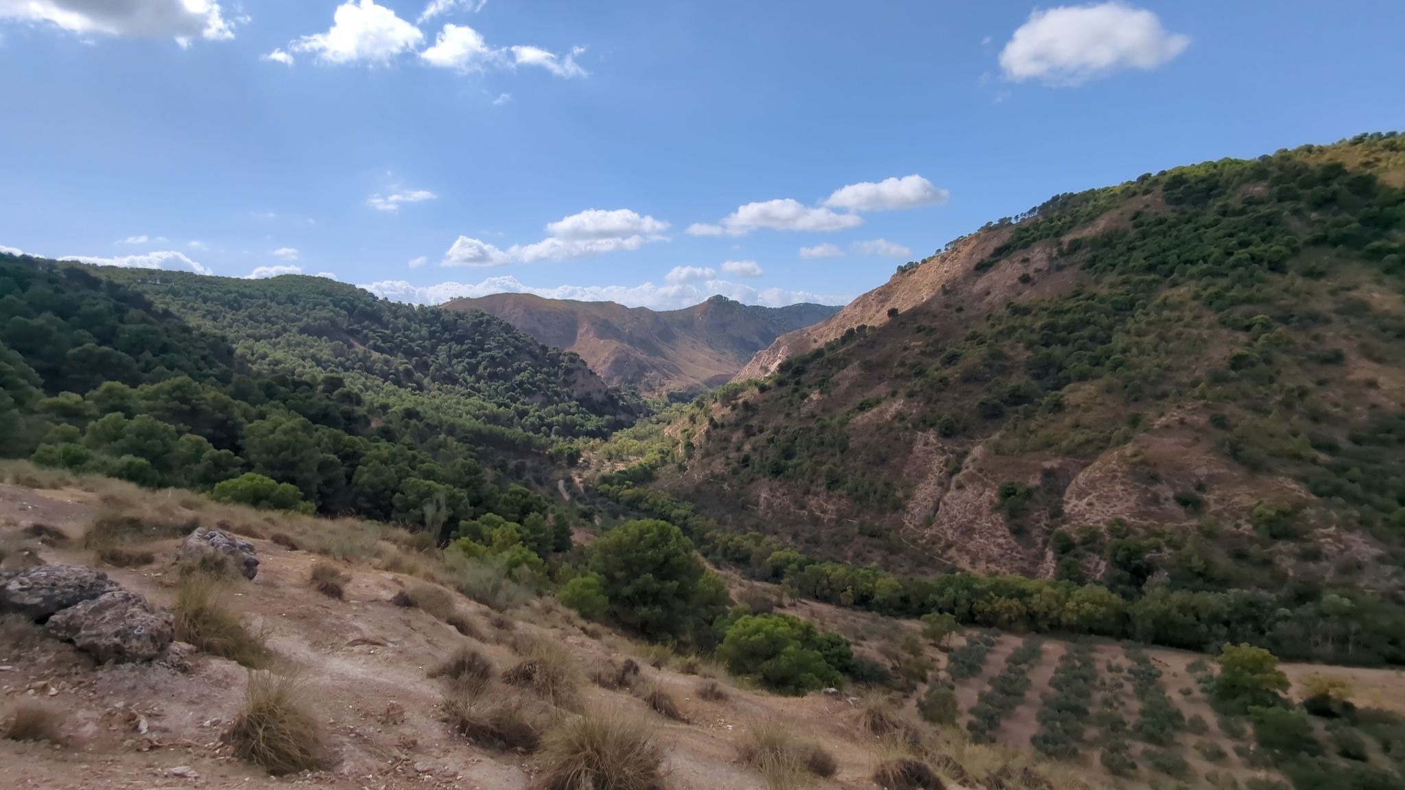 Arroyo Marín