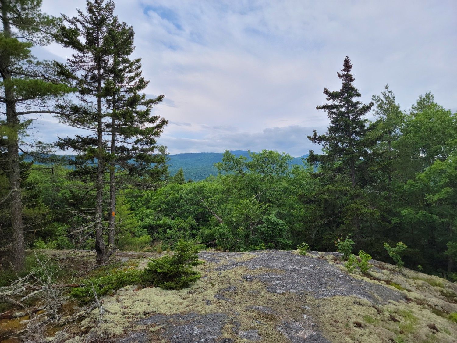 Rocky outcrop with pine trees overlooking a forested landscape and distant mountains. - Bald Knob and Mount Crosby Trail