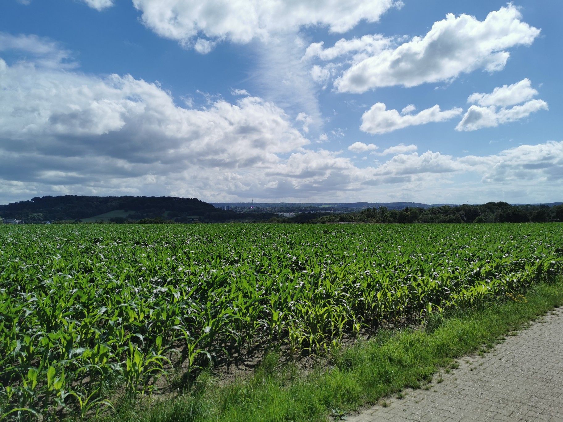 Ein grüner Blick über ganz Aachen 