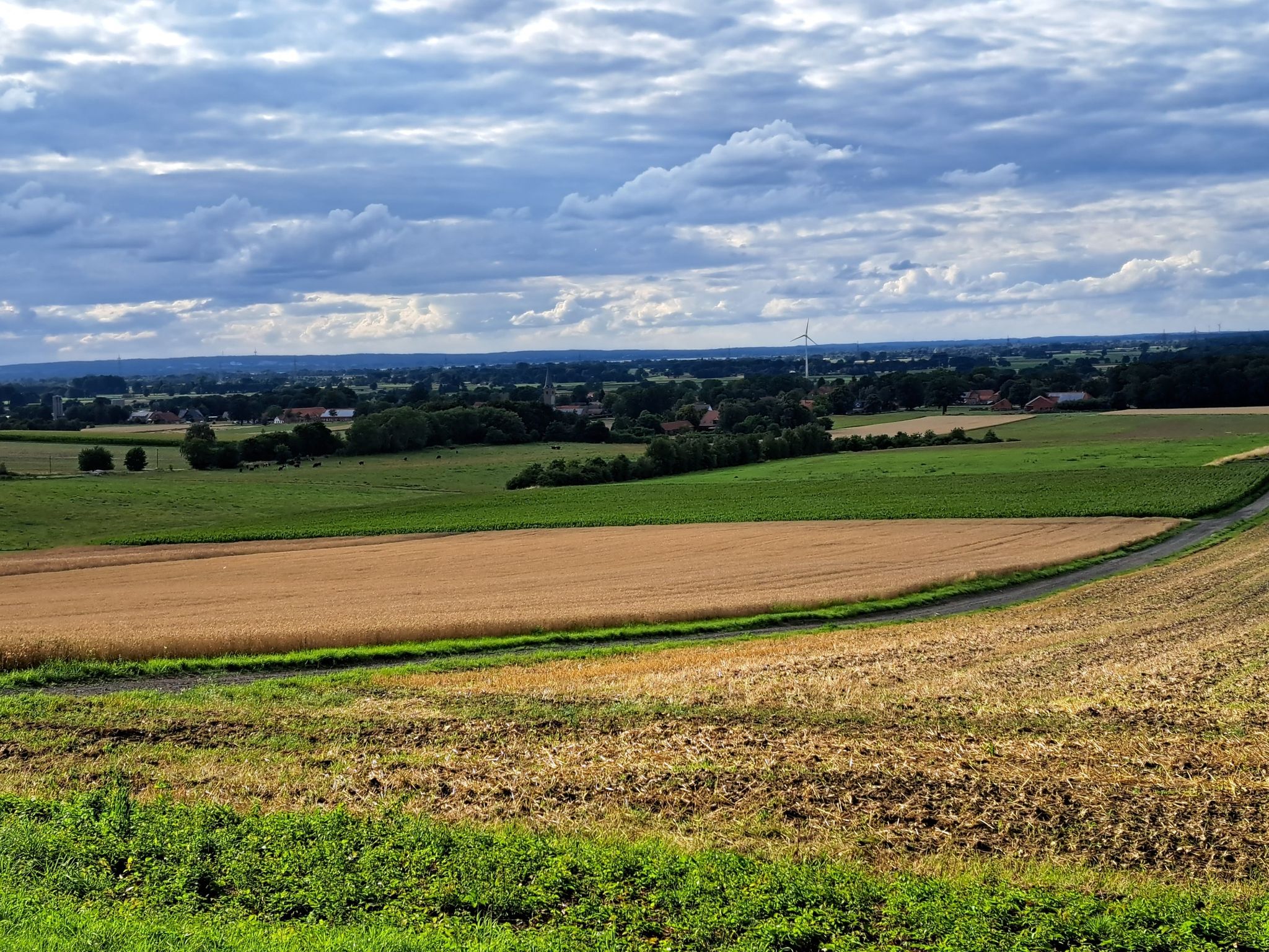 Aussicht auf den Dümmer