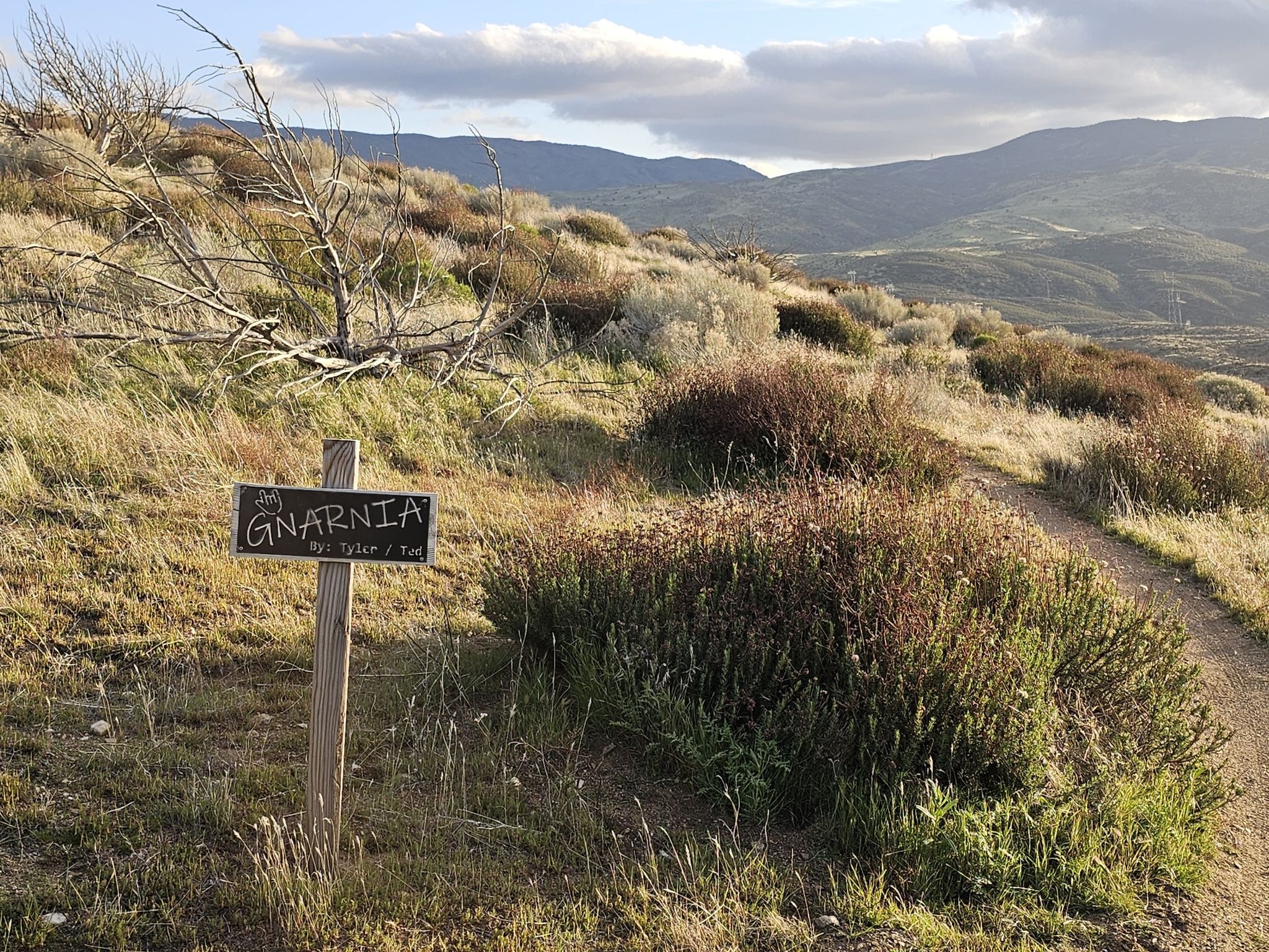 A wooden sign on a dirt path through dry, hilly terrain under a cloudy sky. - Joshua Ranch Loop