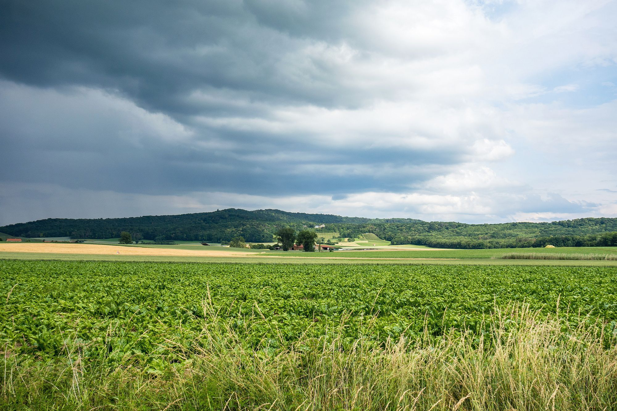 Wird Zeit für die Rückfahrt: über dem Steigerwald braut sich was zusammen