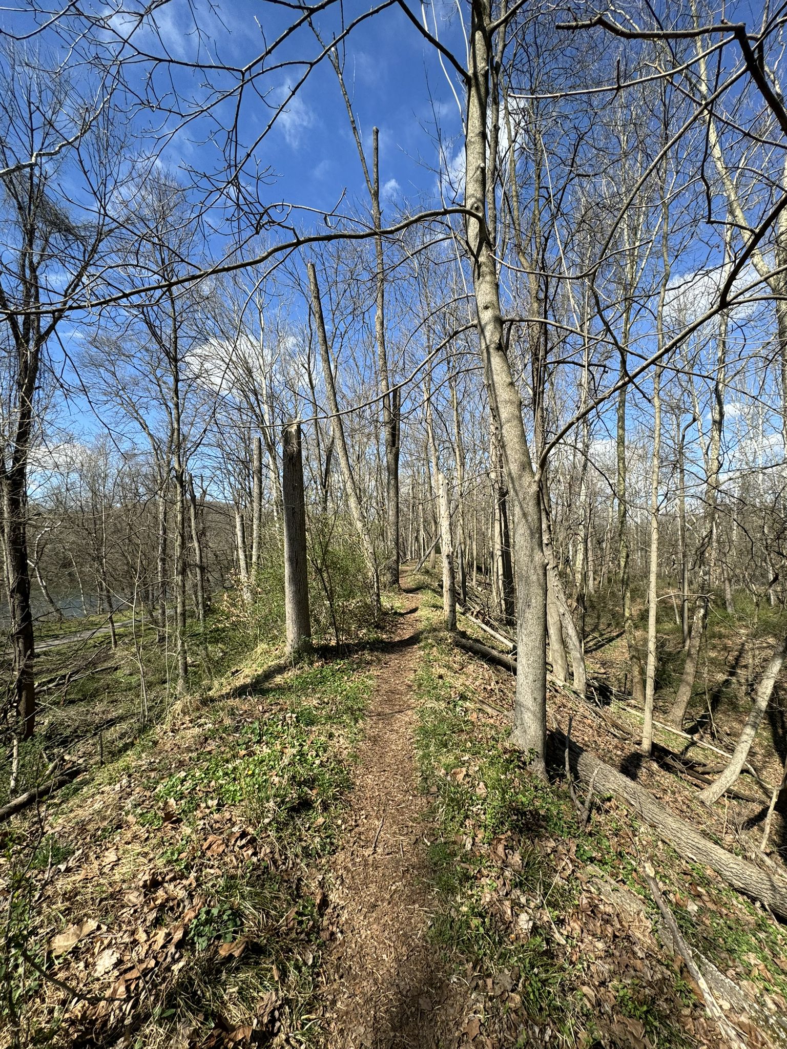 Narrow dirt path winding through a sunlit forest with bare trees. - Commissary and Fatlands Trail Loop