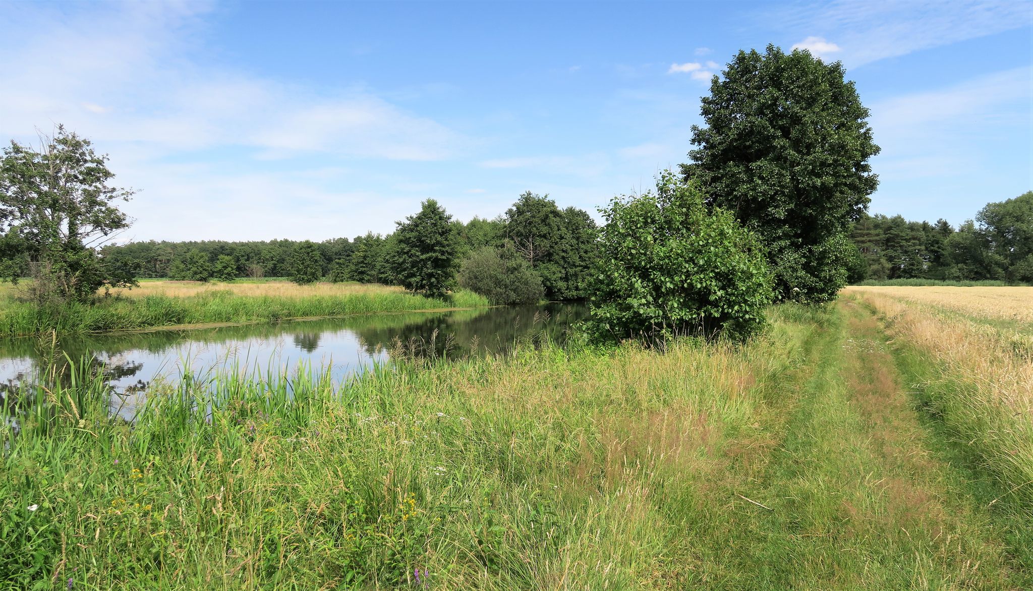 Gut zu befahrener Feldweg am Allerufer
