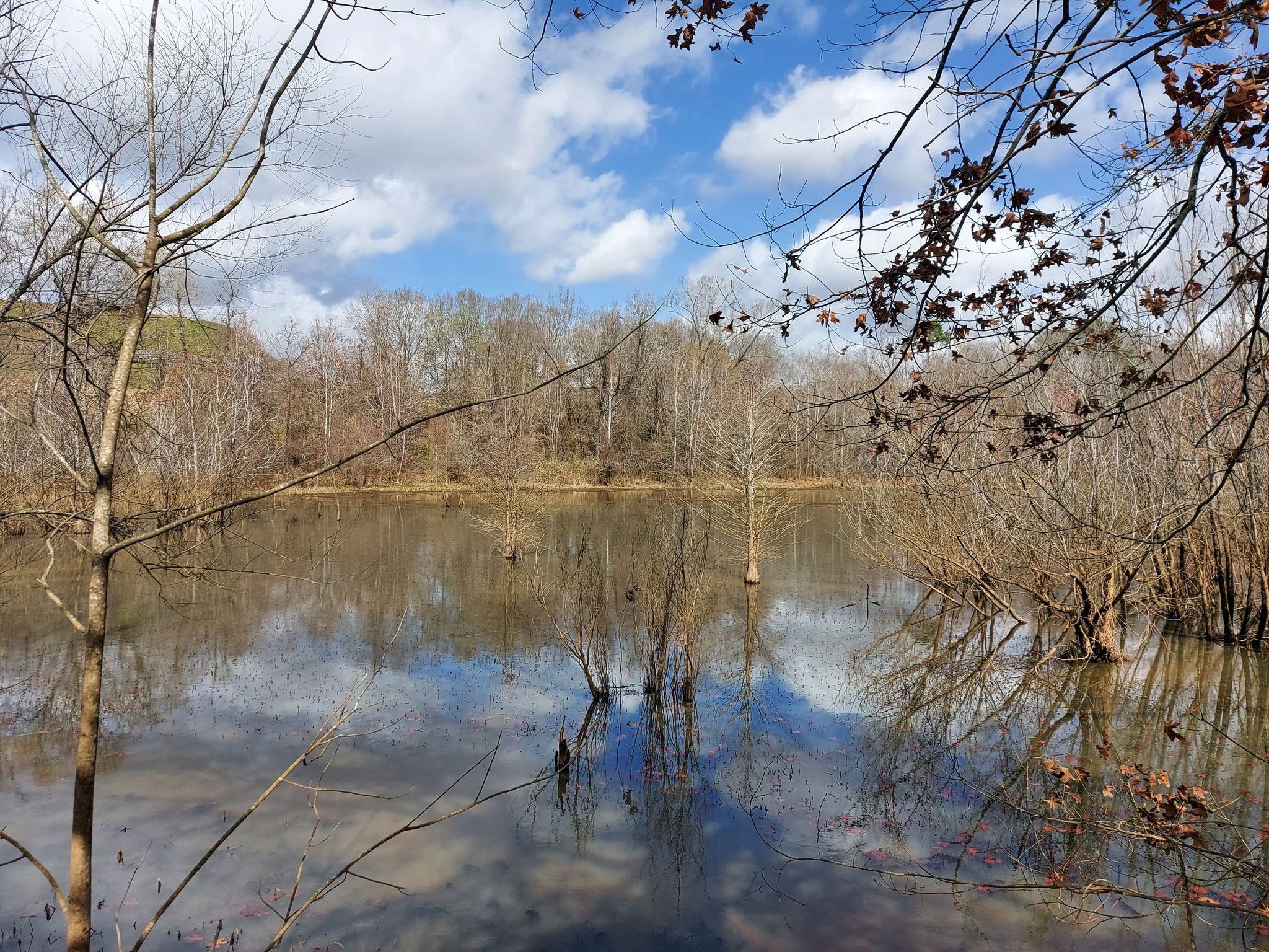 Calm water reflecting a cloudy sky, surrounded by bare trees. - Ocmulgee Mounds National Historical Park – Macon, Georgia