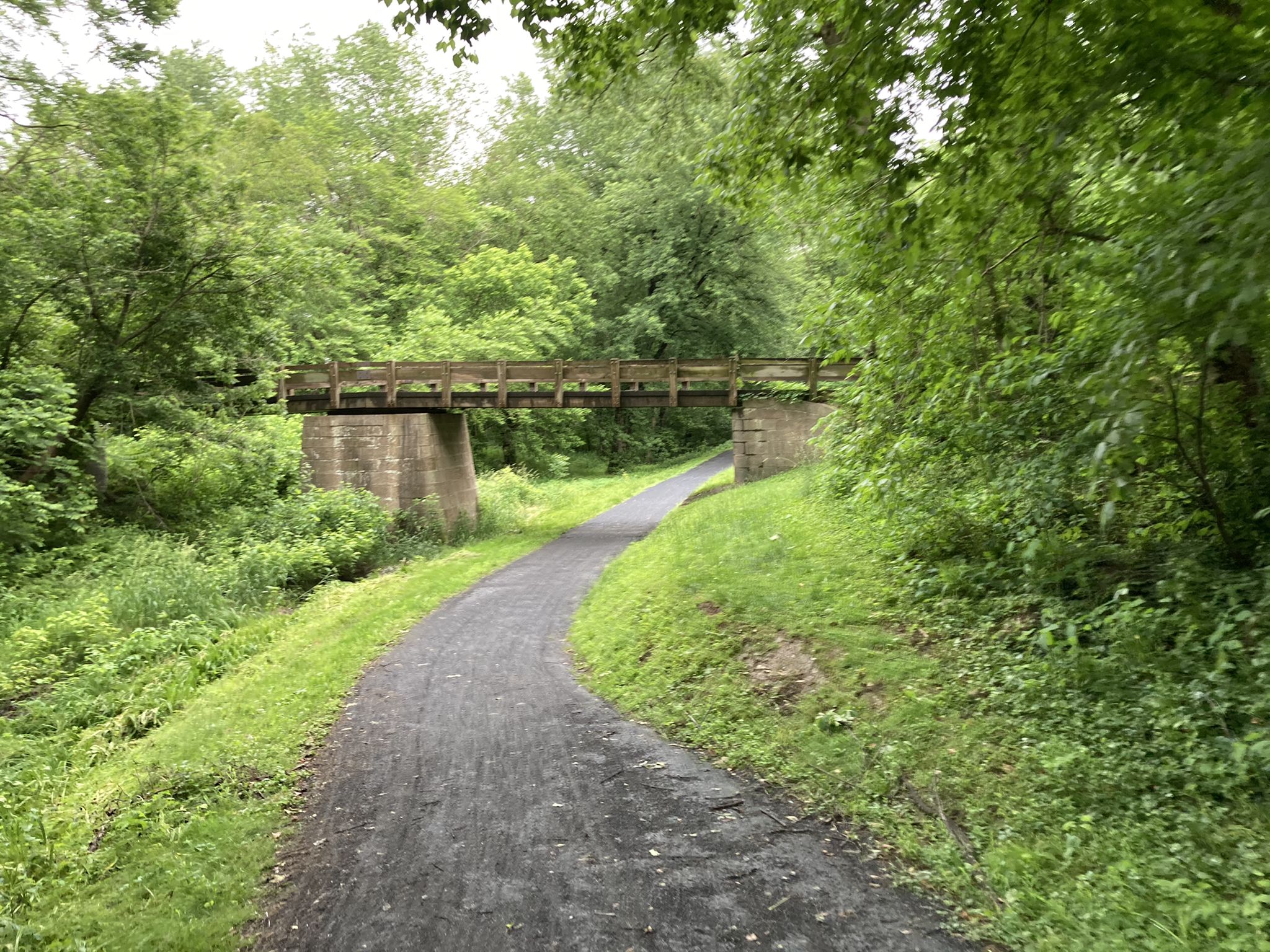 Winding gravel path leading under a wooden bridge in a green forest. - Point of Rocks Bridge loop from Point of Rocks