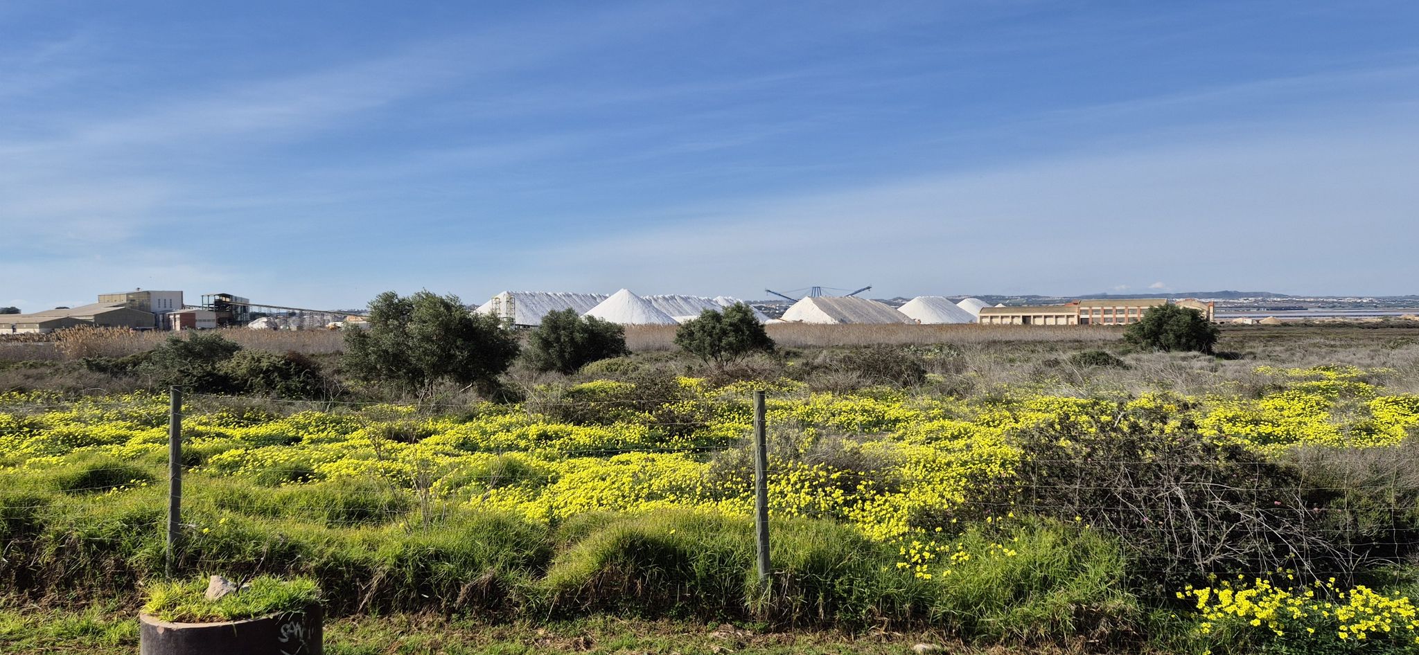 Salinas de Torrevieja