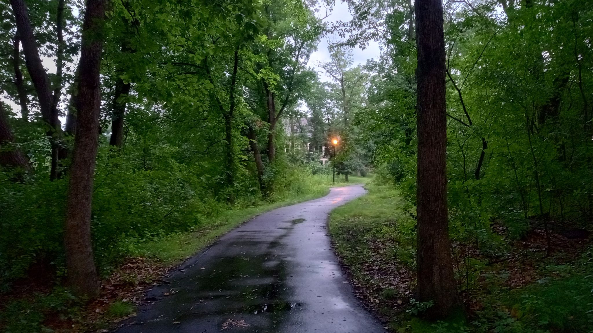 Cool to get pictures of after the rain with the trail lights on