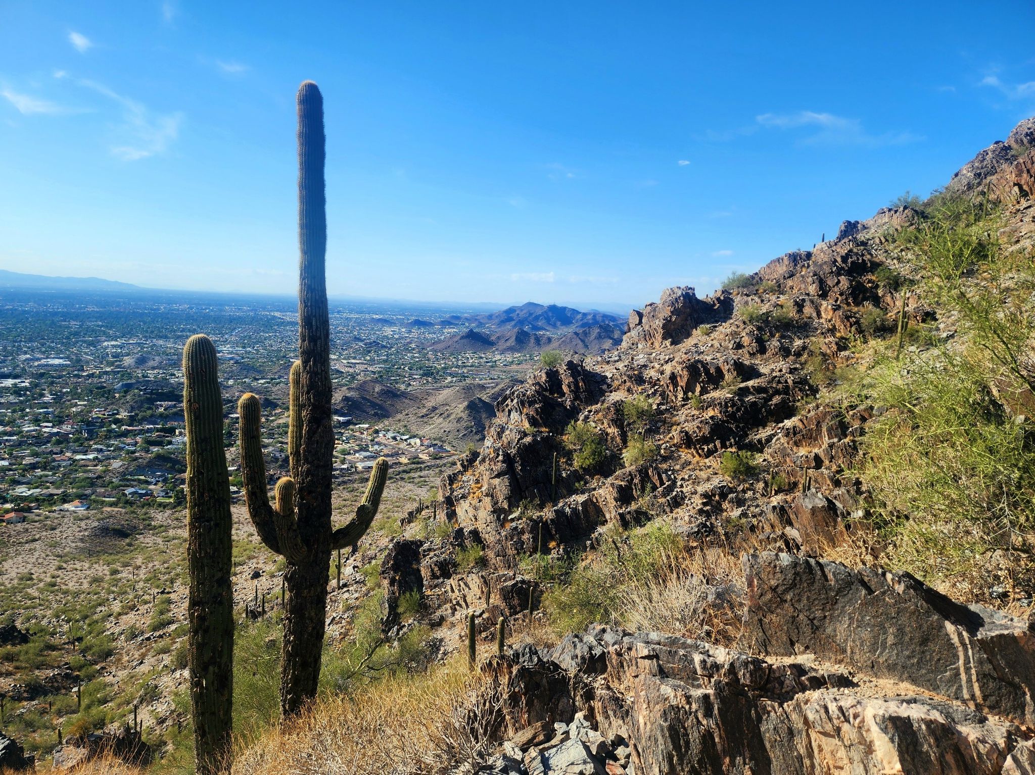 Two saguaro cacti, rocky desert hills, and distant city under blue sky. - Piestewa Peak Summit Trail