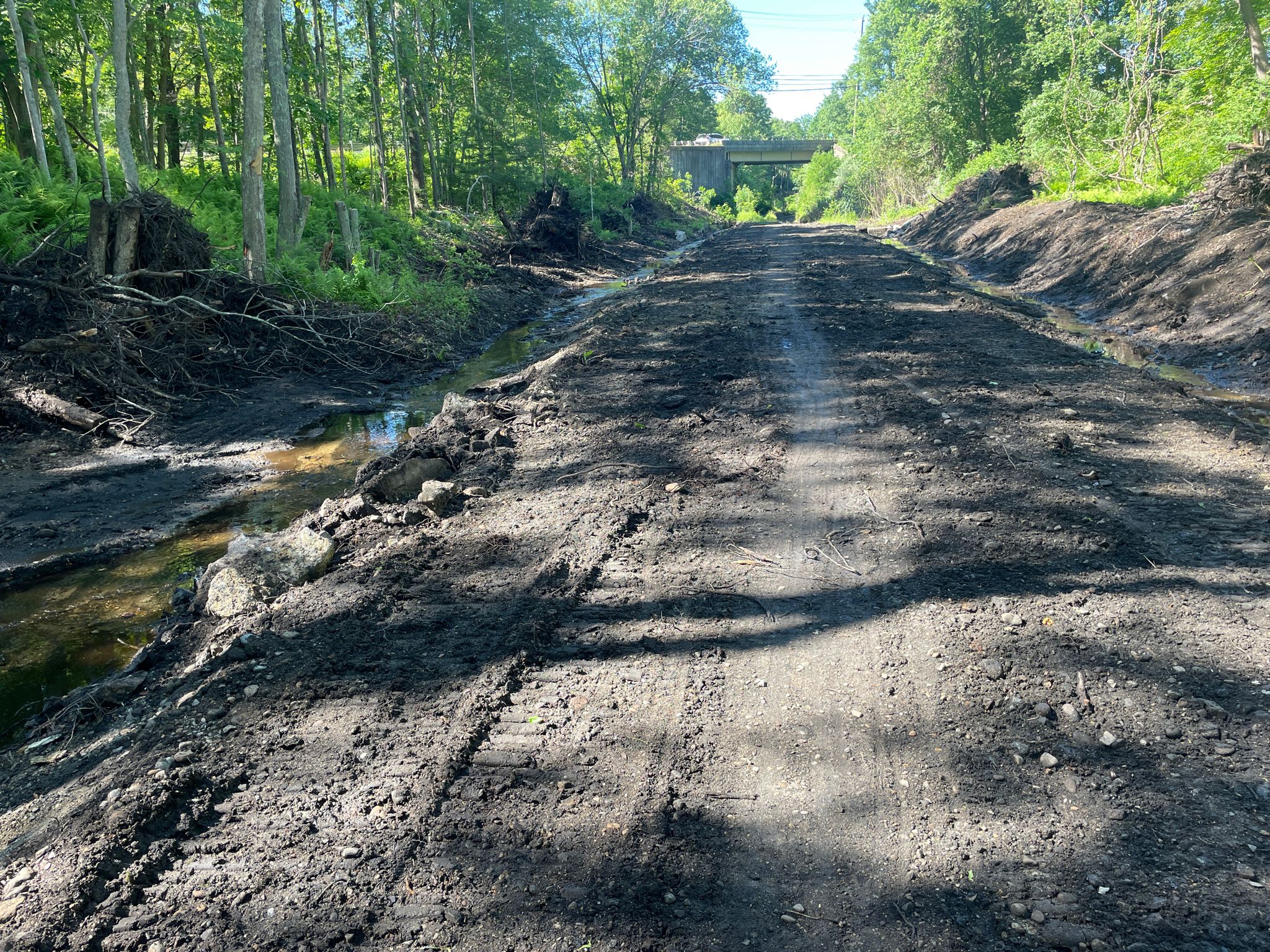 Muddy construction path next to a small stream, under a bright sky. - East Coast Greenway – James L. Goodwin State Forest loop from Willimantic