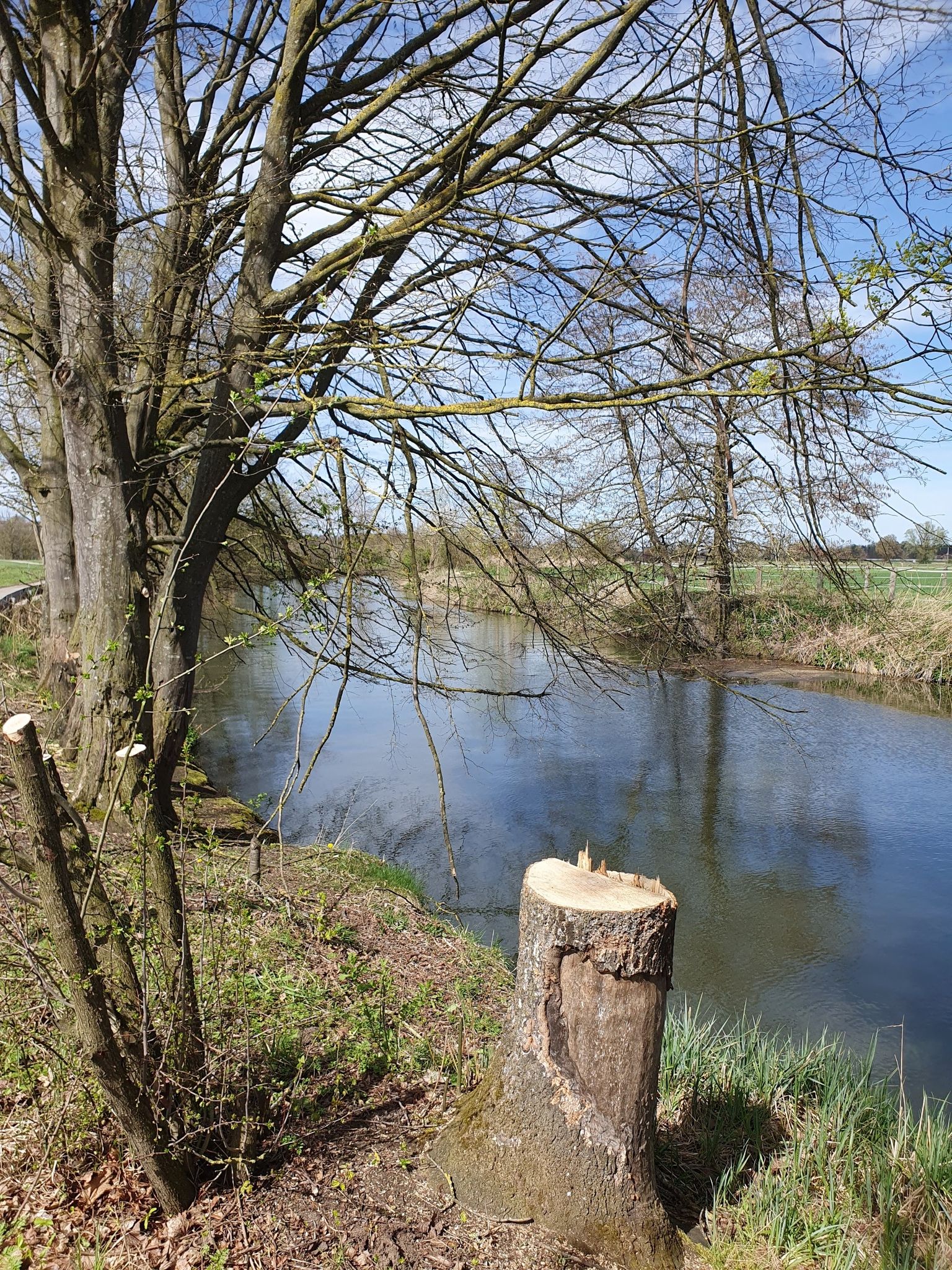 An der Schmutter