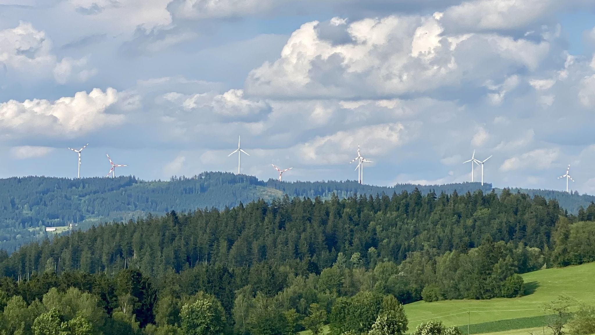 Windpark Sternwald