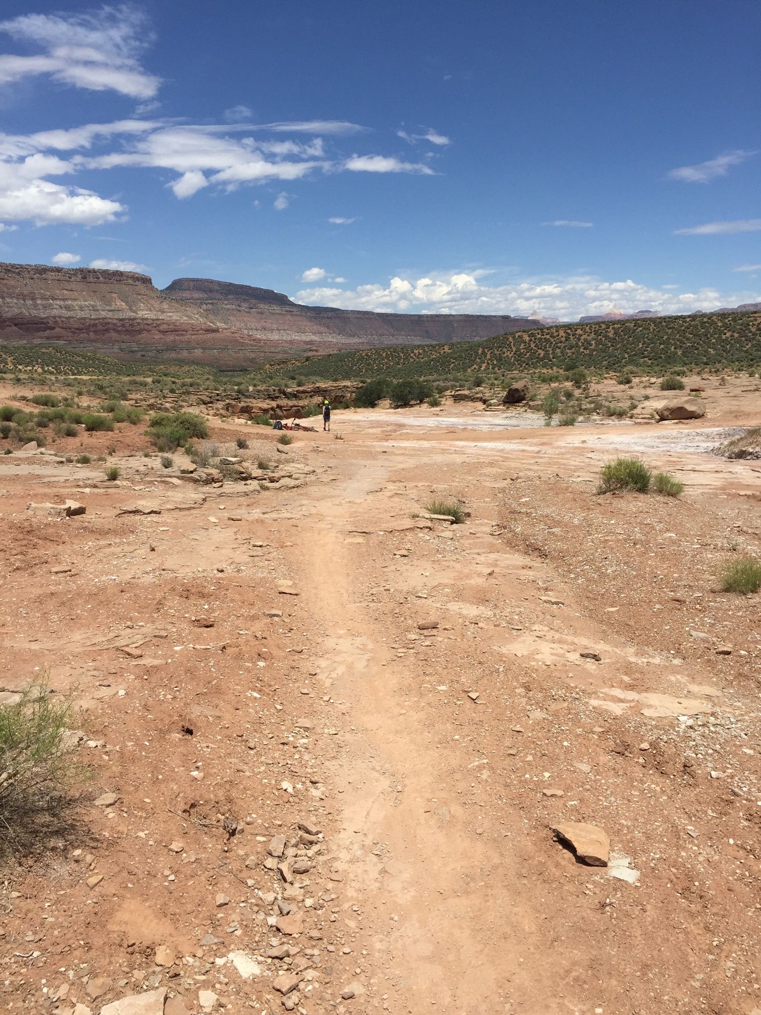 Long dirt trail stretching across a flat, arid desert landscape. - Jem Trail (South) loop from Sheep Bridge Nature Preserve
