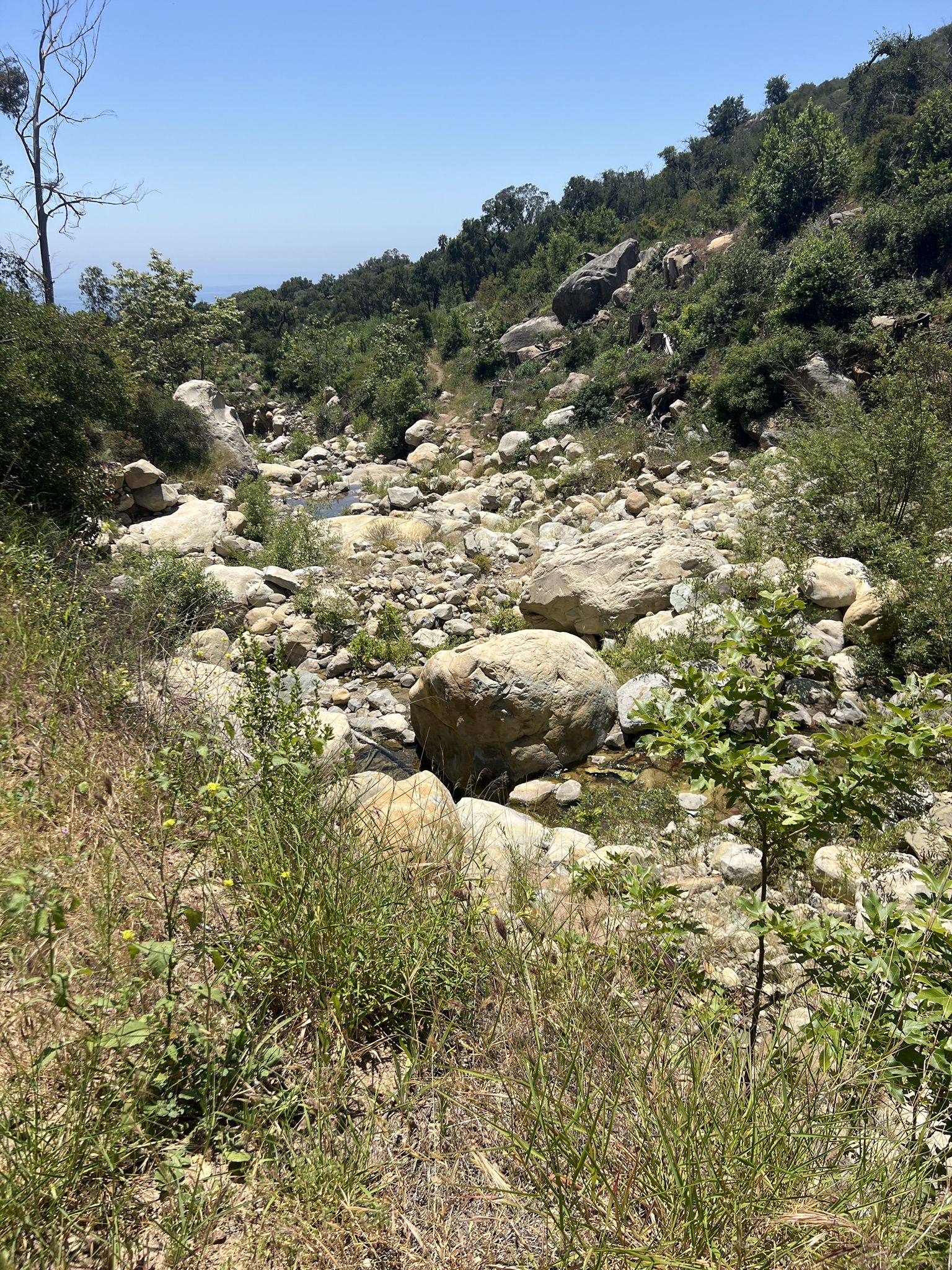 Sunny view of a wide, rocky creek bed with green hills beyond. - San Ysidro Trail