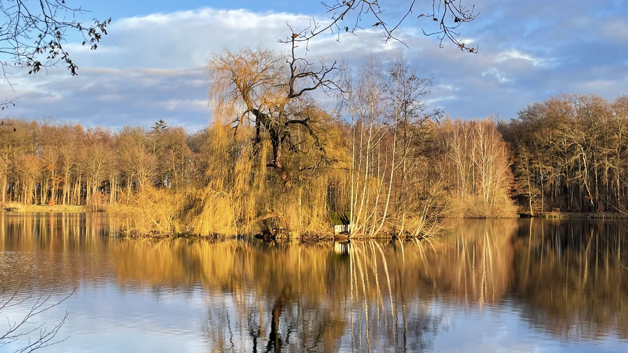 Isenhagener See