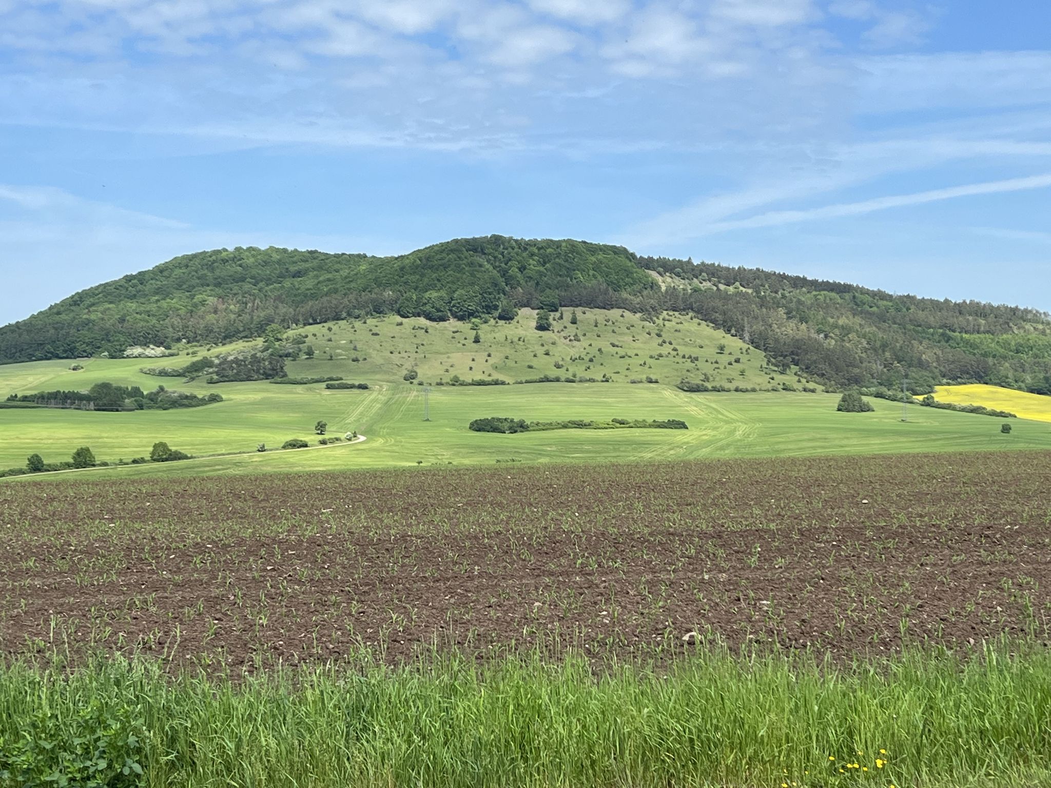 Blick zum Horn (578 m)