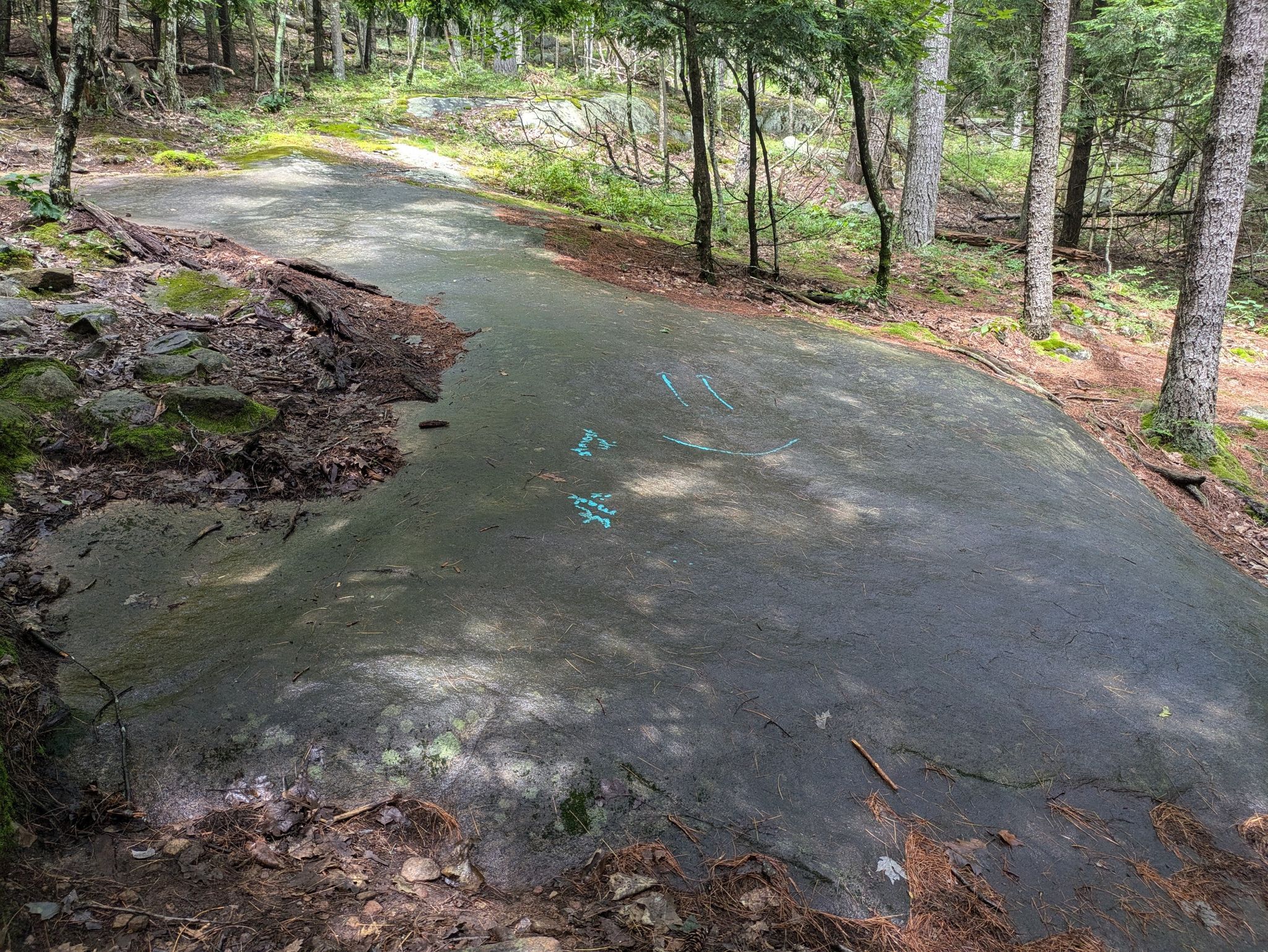 A large, flat rock surface with blue markings in a shaded forest. - Trail up the Mountain loop from Lake George