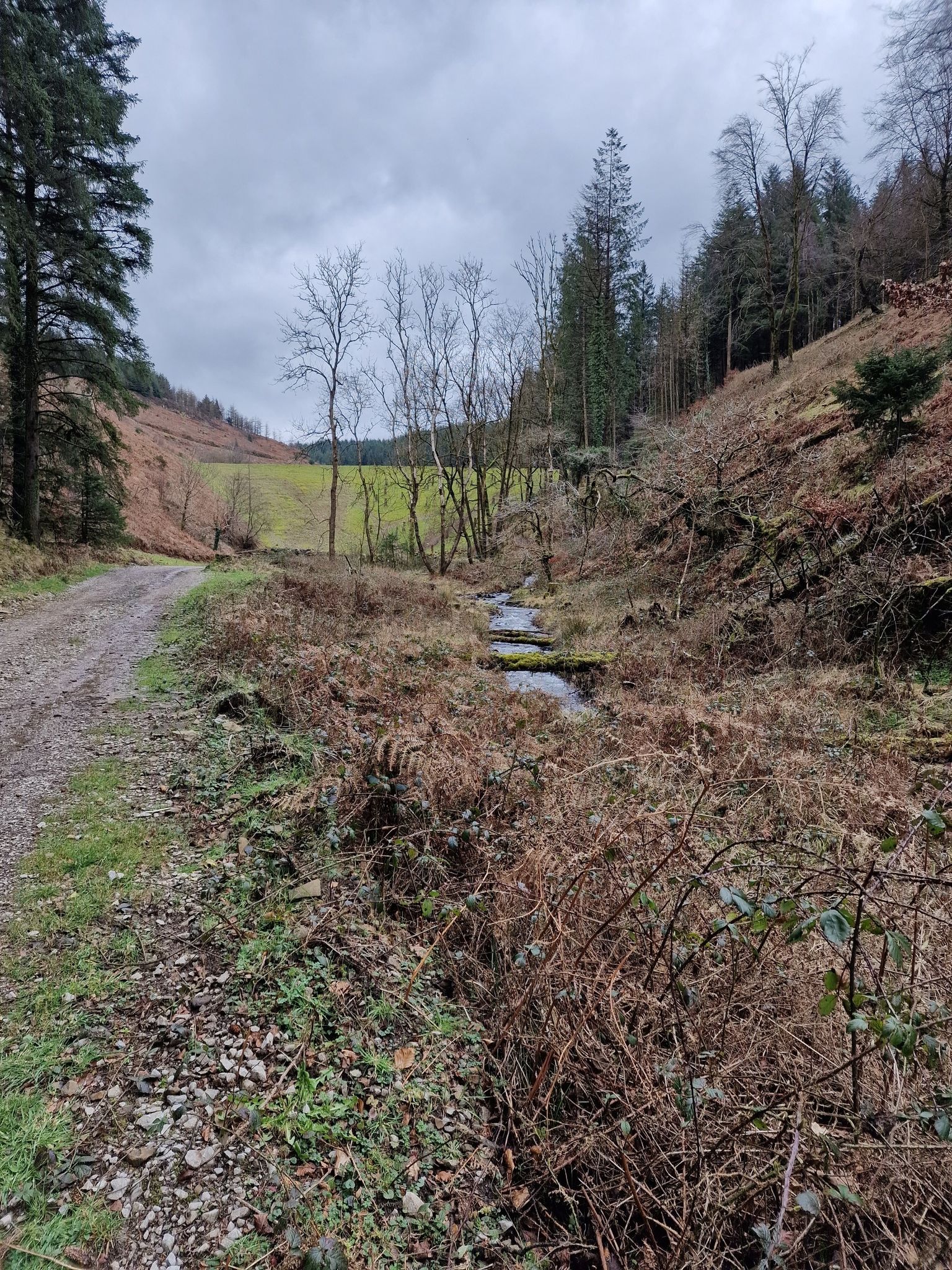 up the steep bank to the res