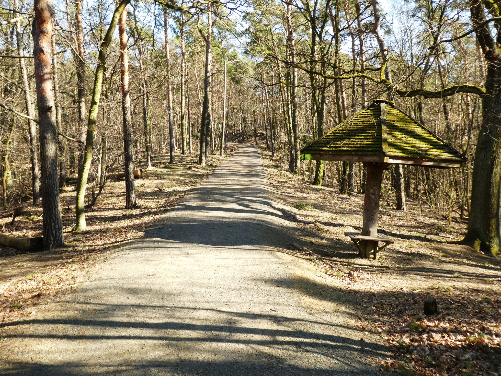 Kammweg der Müggelberge
