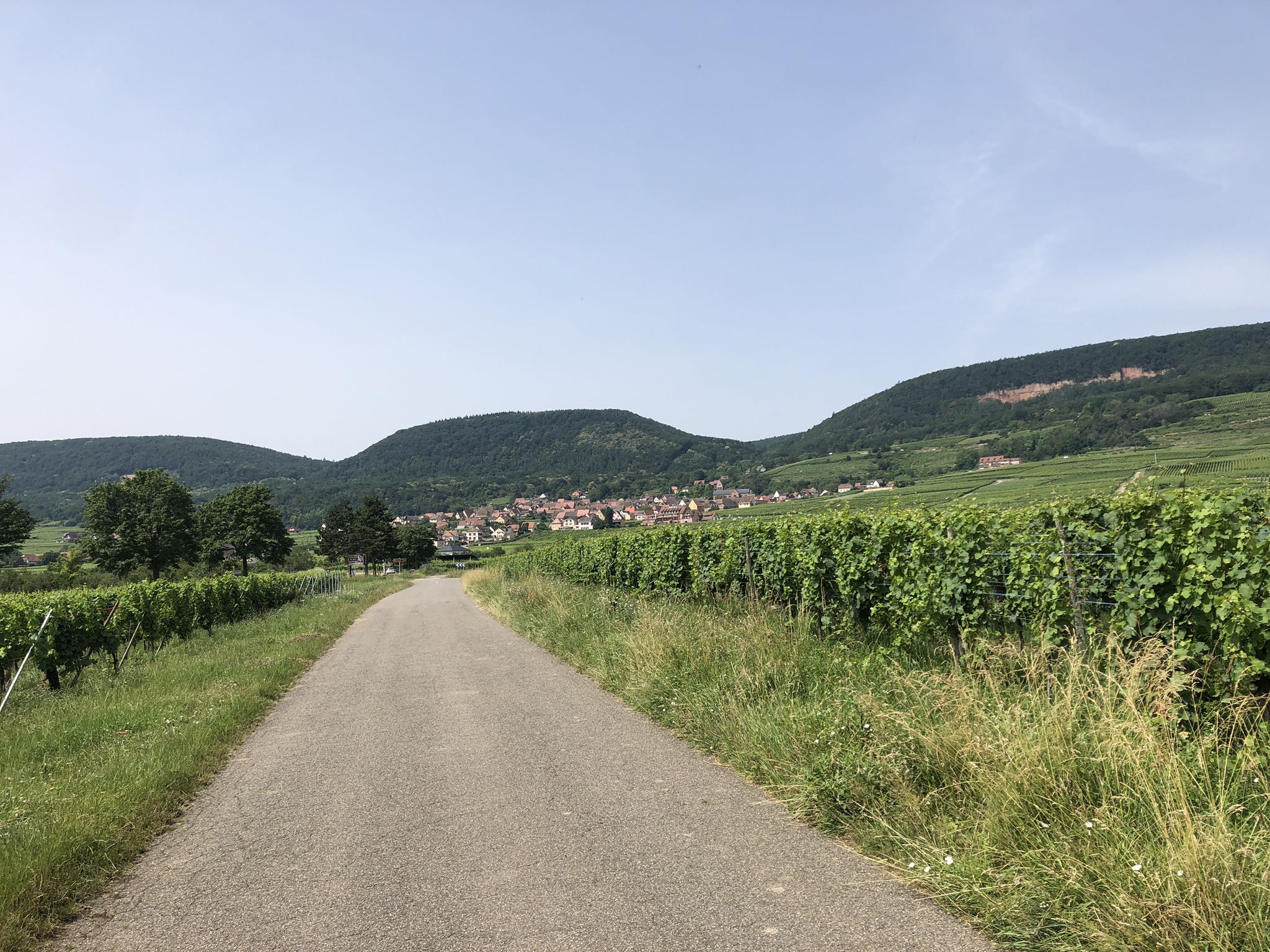 Blick auf Gueberschwihr