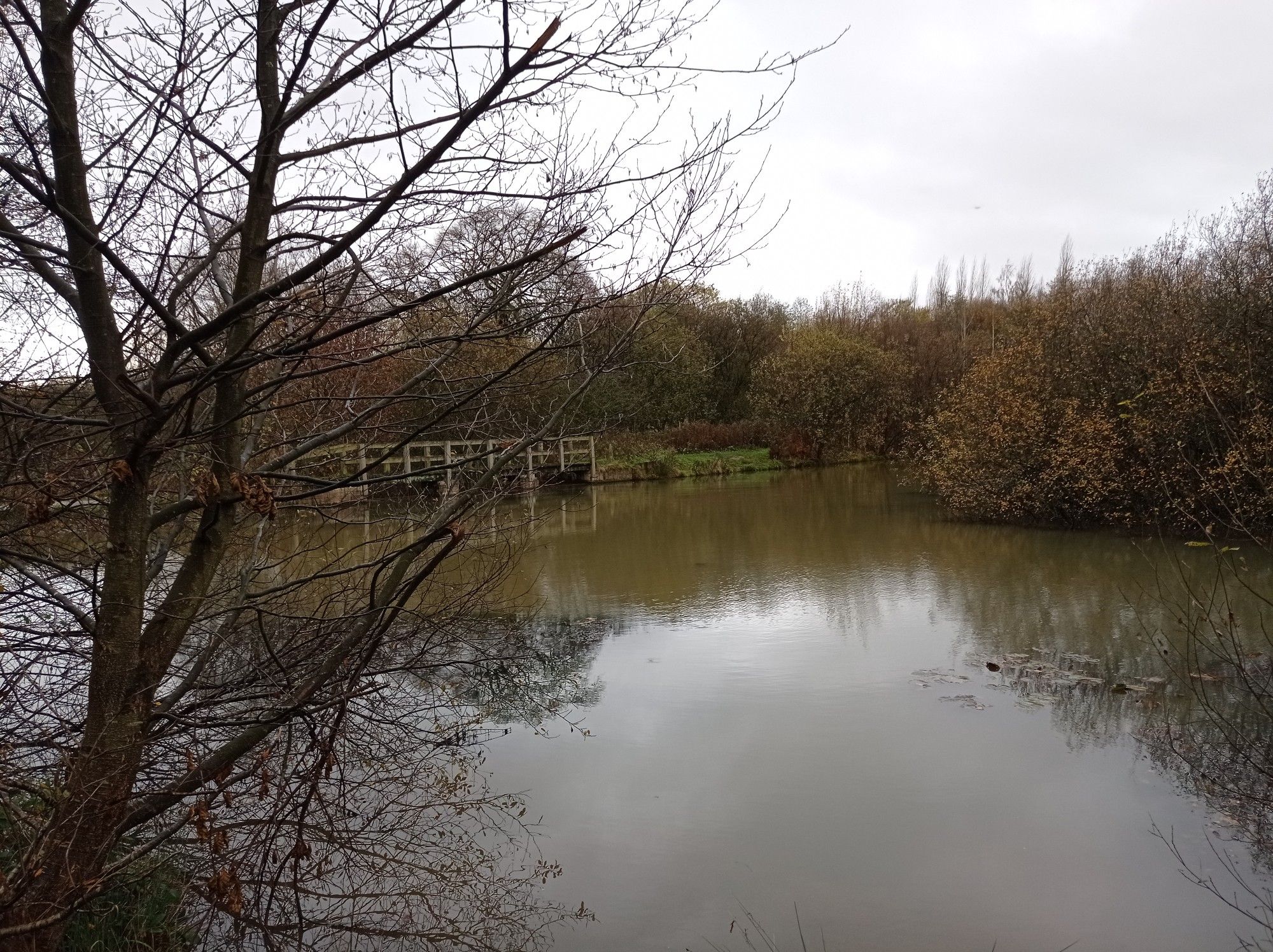 kingfisher lodge