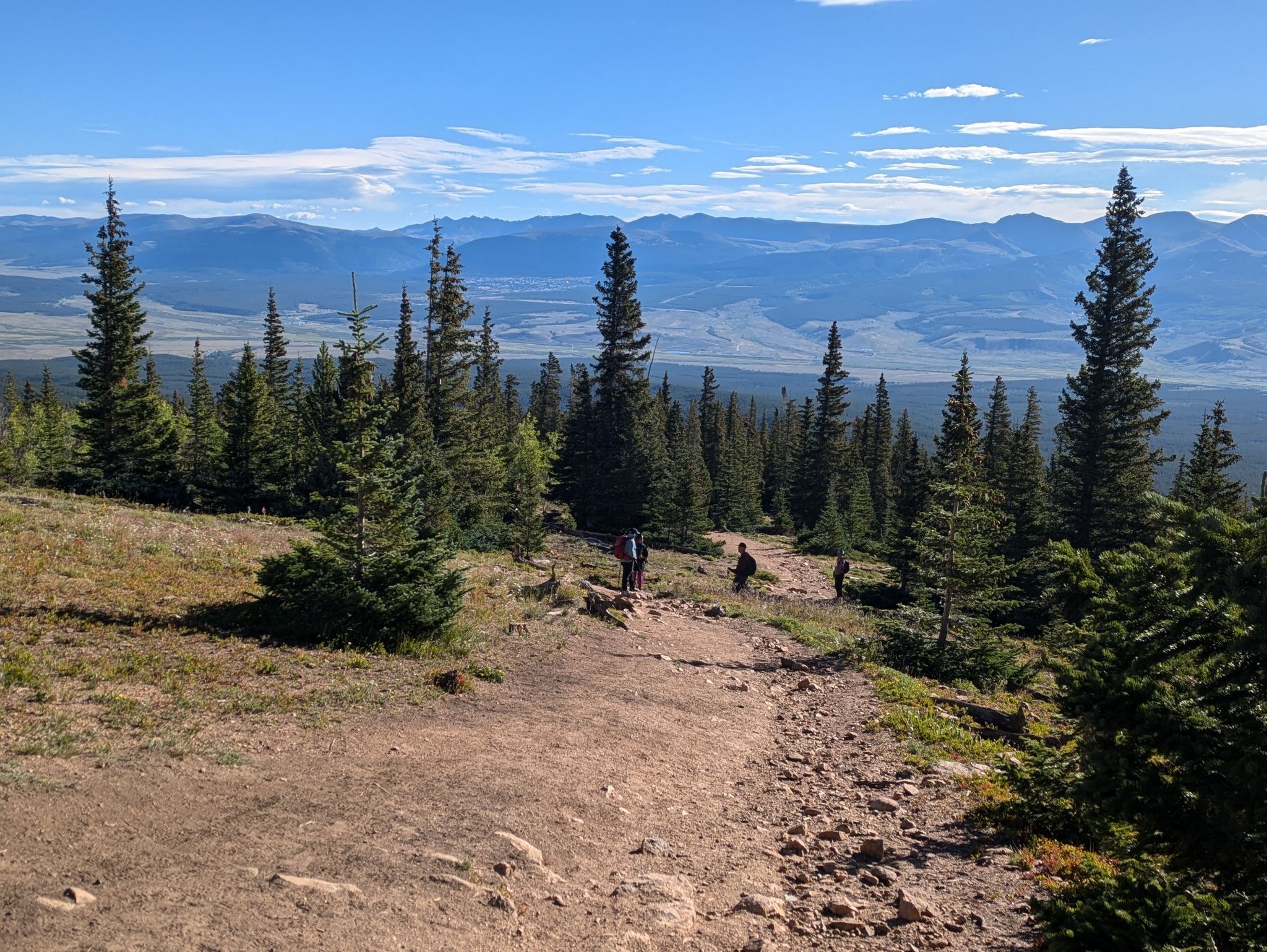 Hikers on a dirt trail through a pine forest with distant mountains. - North Mount Elbert Trail