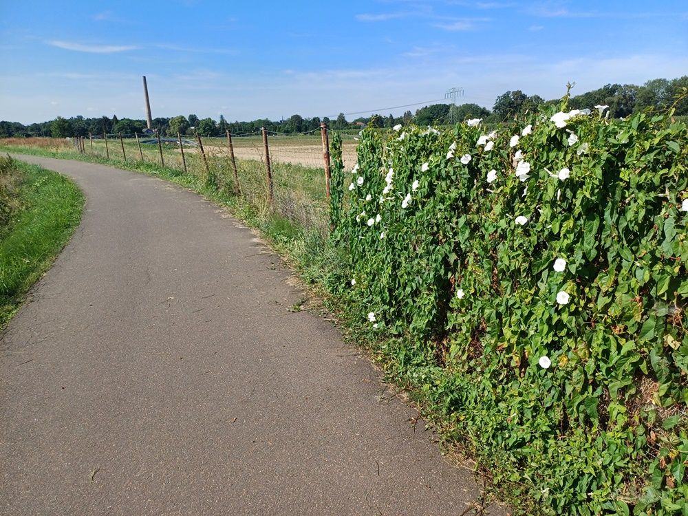 Ein Stückchen auf dem Elster Radweg zwischen Pegau und Wiederau