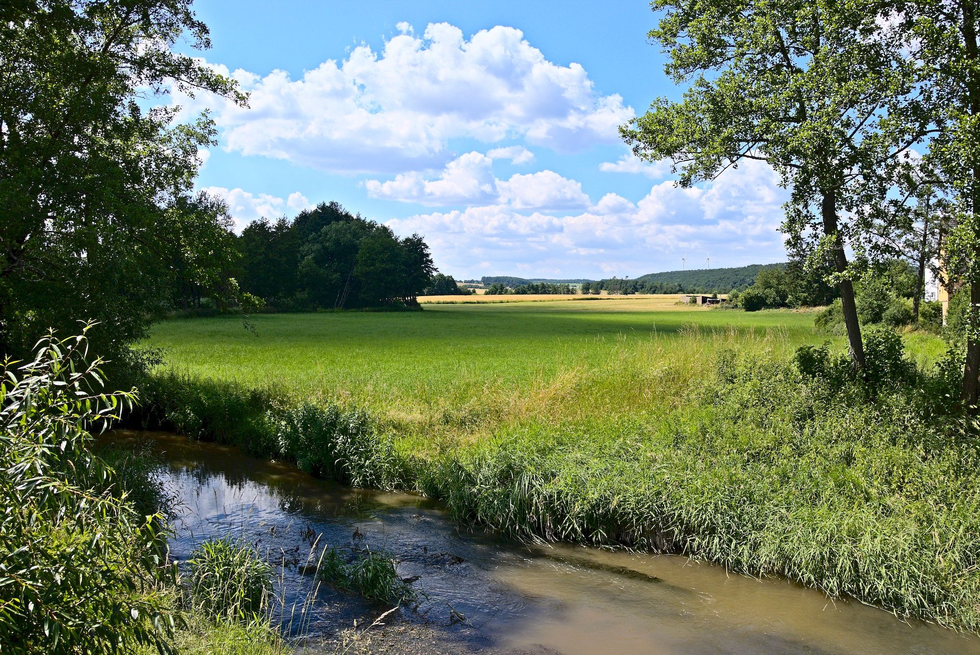 An der Reichen Ebrach
